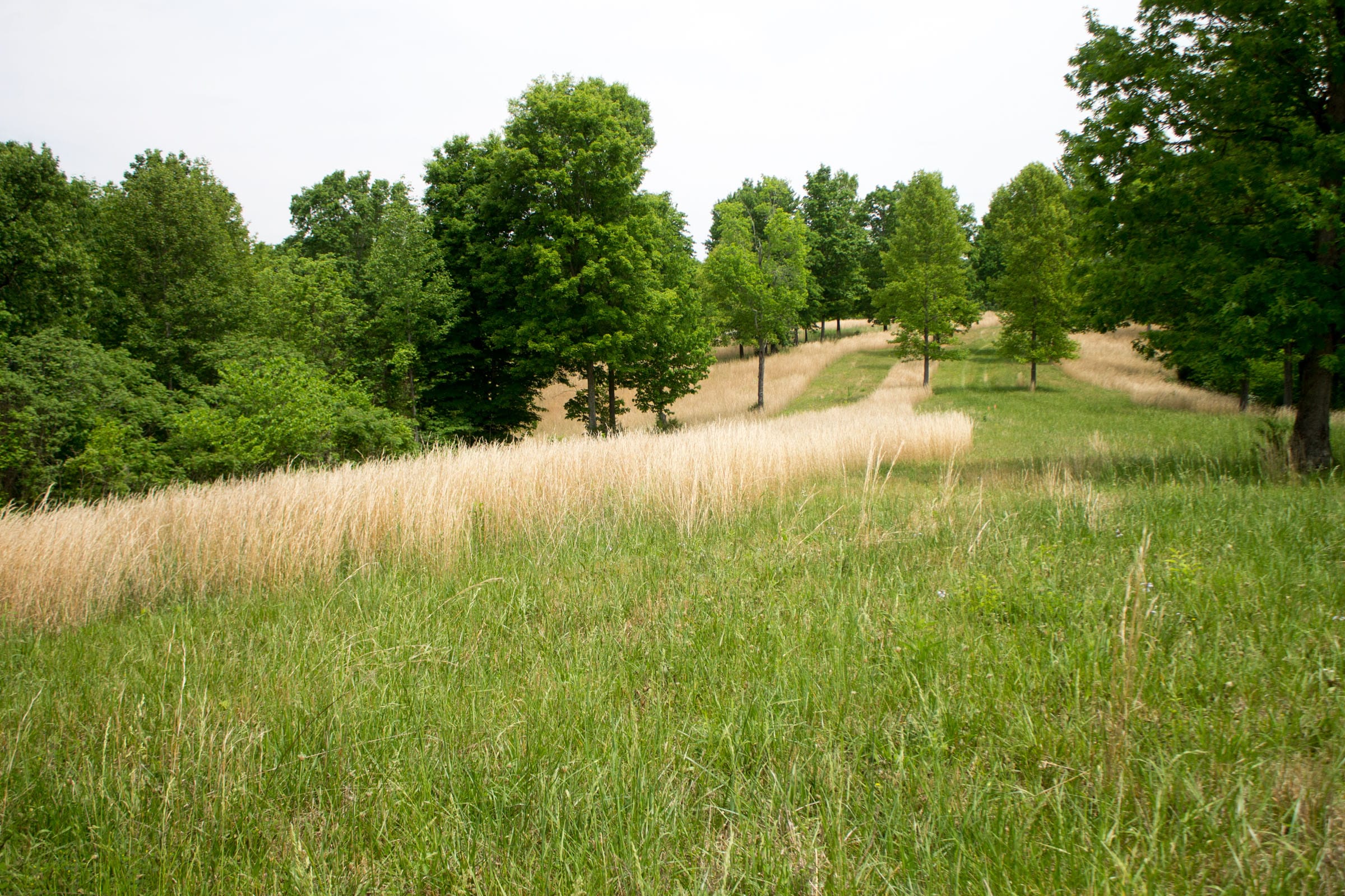 Laurel Ridge Tract 15 photo 1