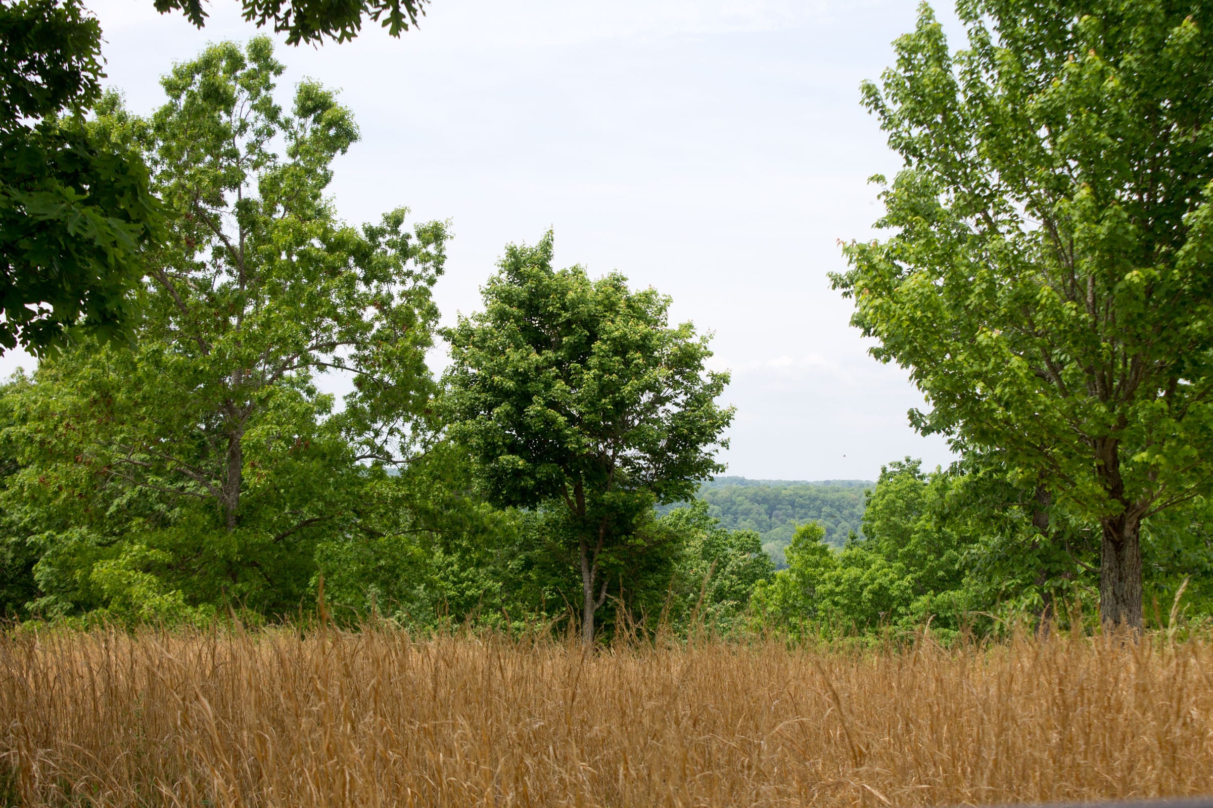 Laurel Ridge Tract 15 photo 9