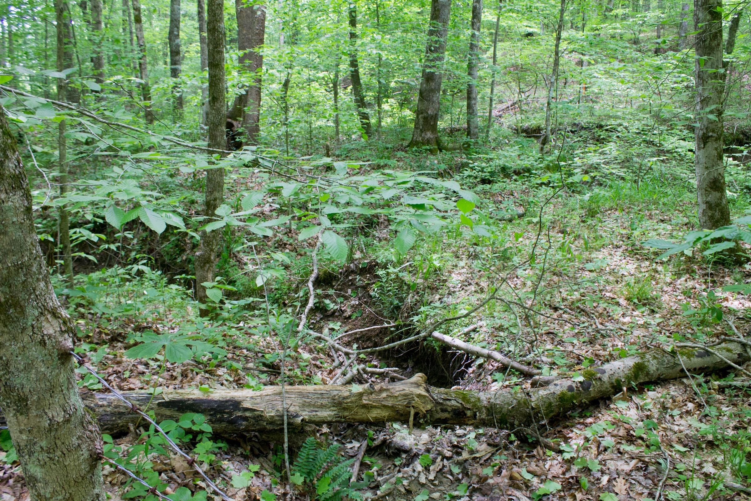 Laurel Ridge Tract 15 photo 11