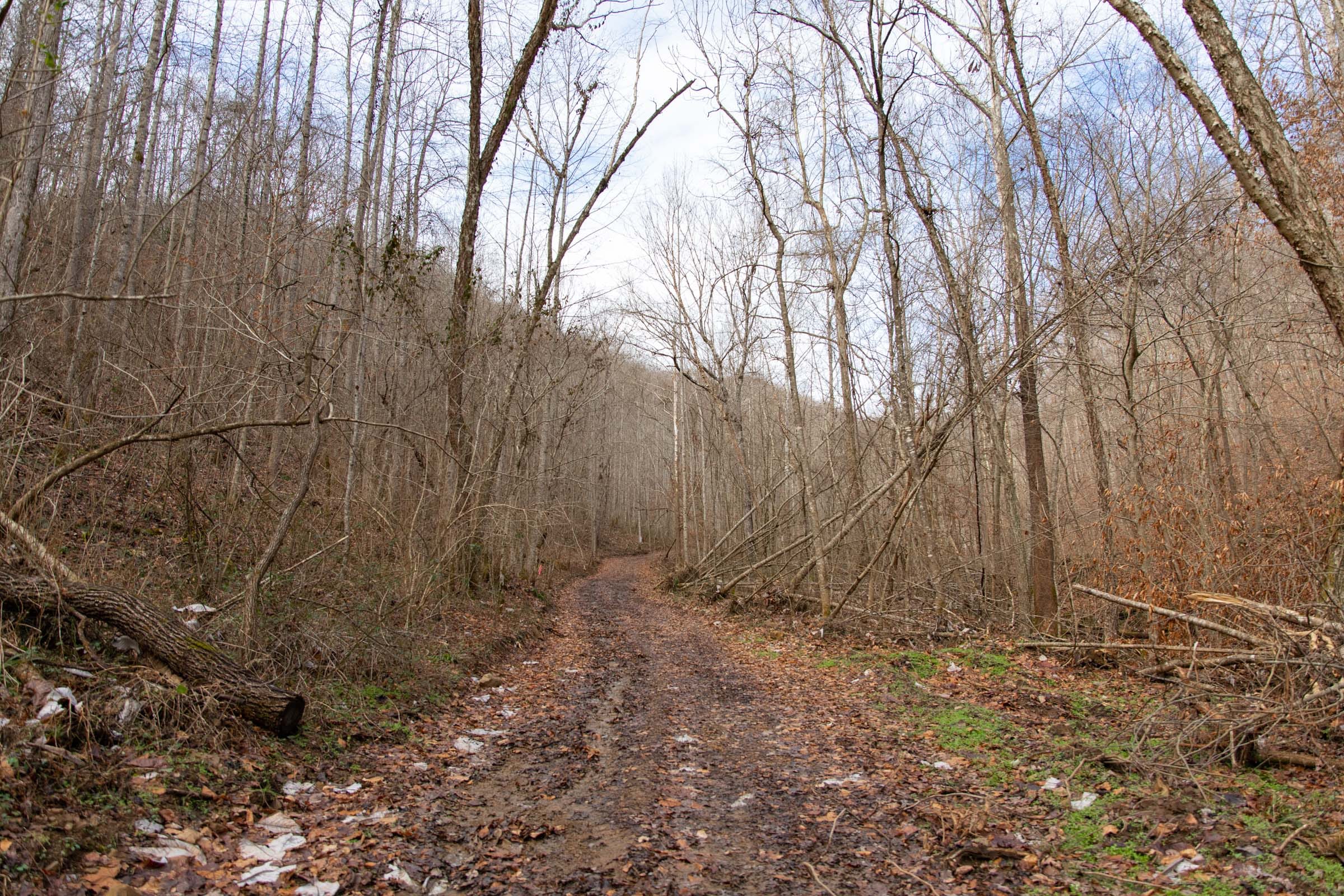 Blackstone Mountain Phase I Tract 53 photo 1