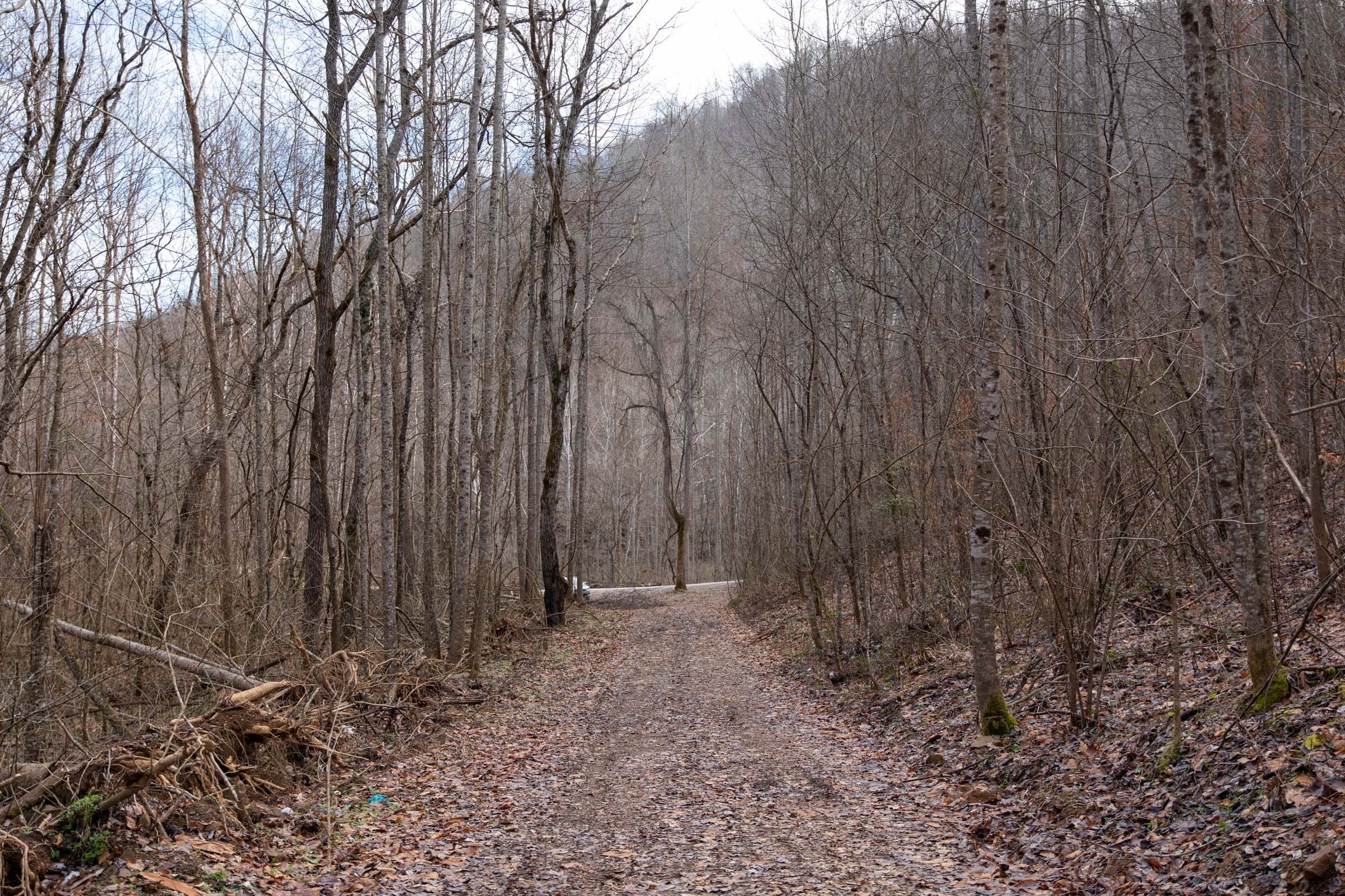 Blackstone Mountain Phase I Tract 53 photo 3