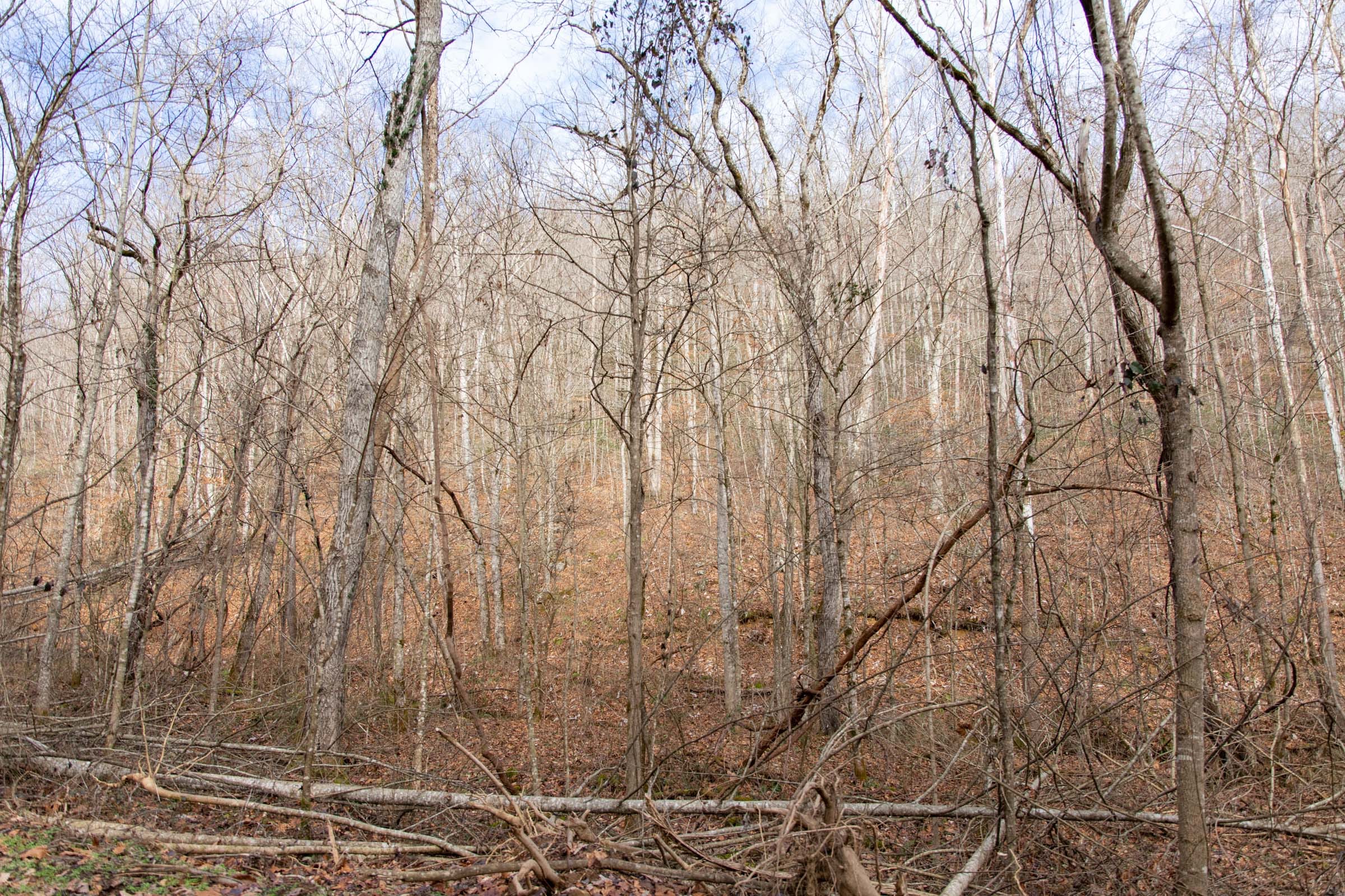 Blackstone Mountain Phase I Tract 53 photo 6