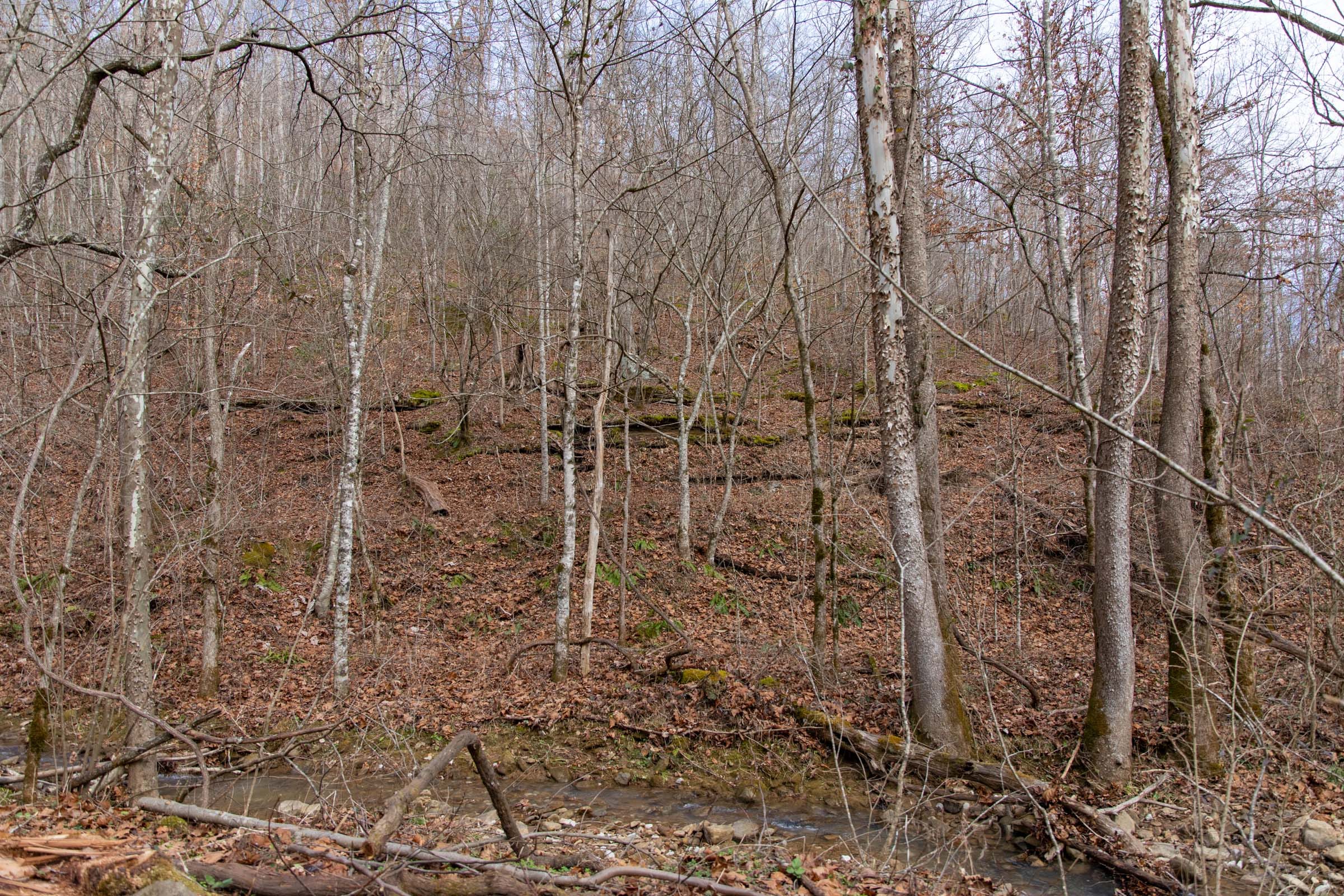 Blackstone Mountain Phase I Tract 53 photo 8