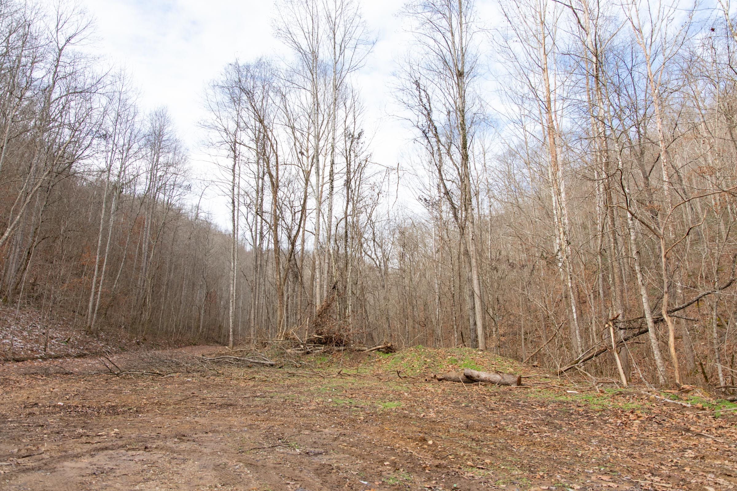 Blackstone Mountain Phase I Tract 53 photo 9