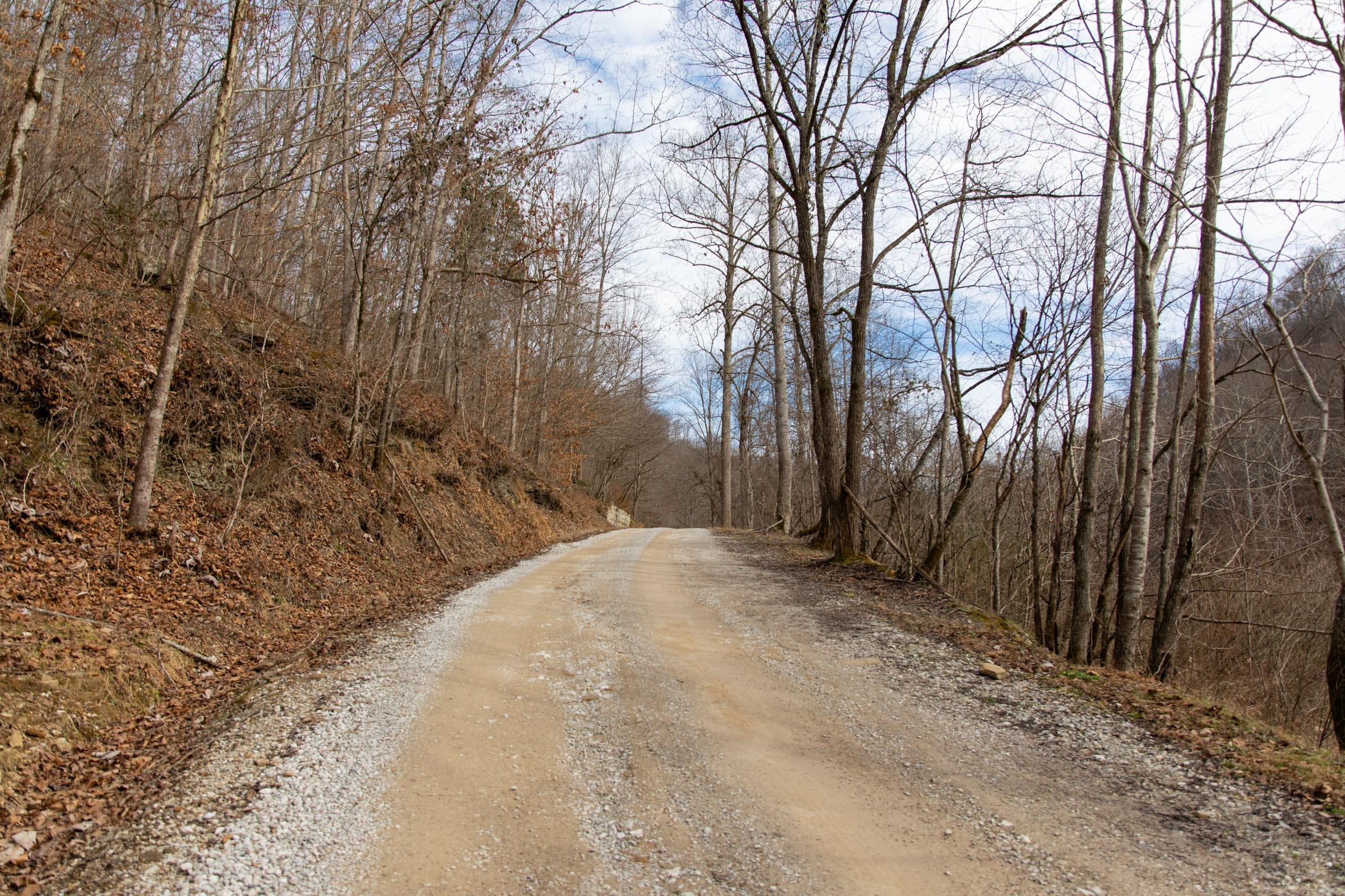 Blackstone Mountain Phase I Tract 53 photo 5
