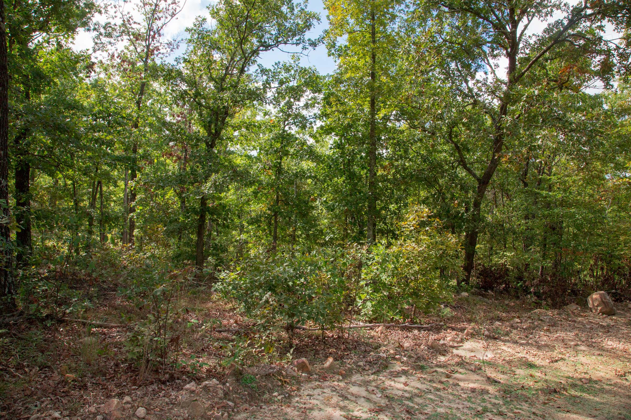 Wagon Wheel Ranch Tract 25 photo 3
