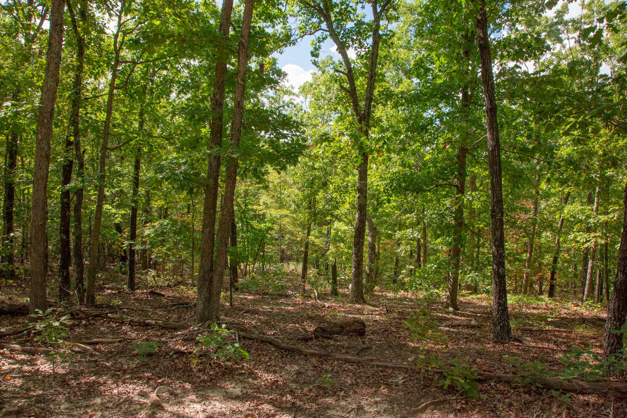 Wagon Wheel Ranch Tract 25 photo 1