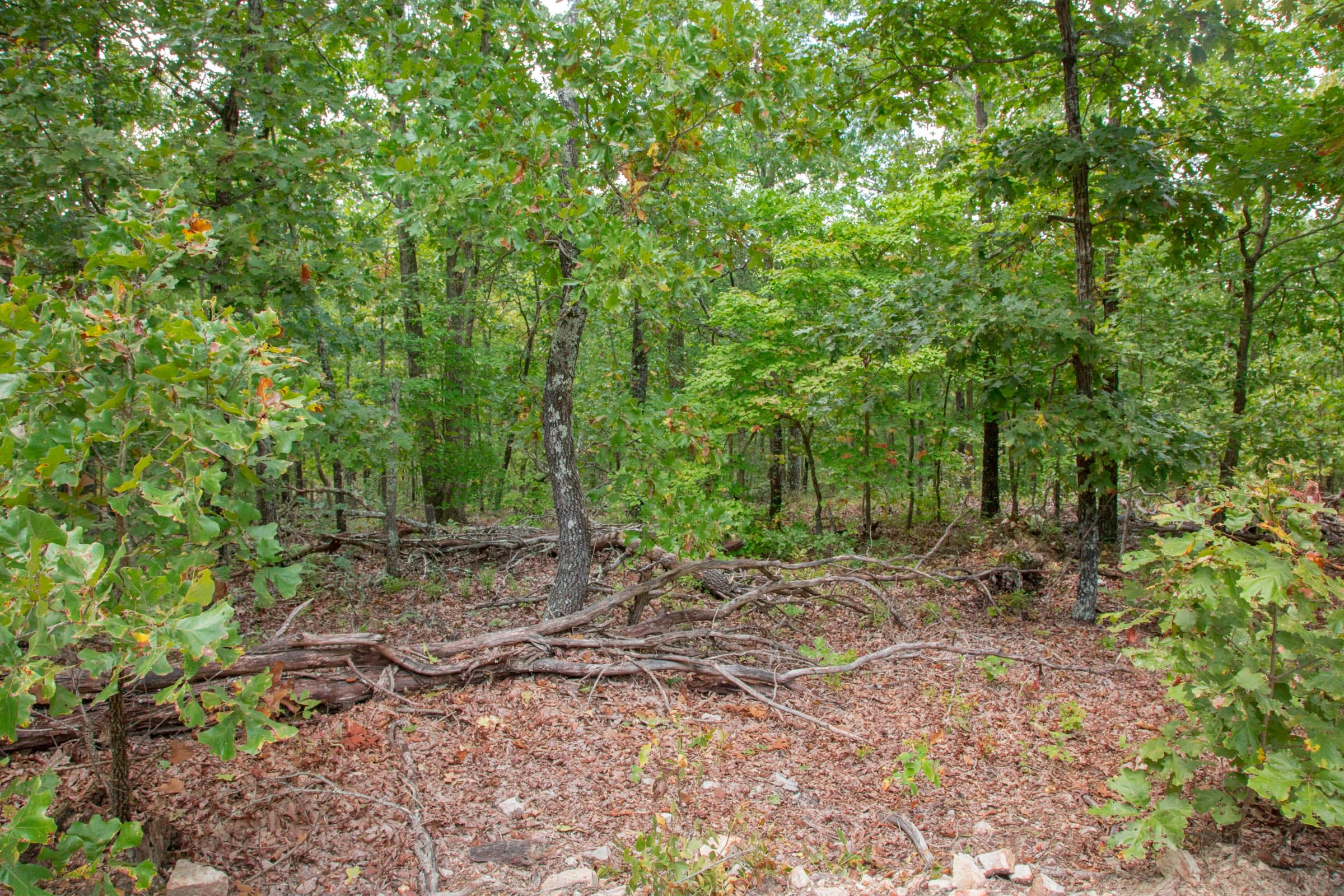 Wagon Wheel Ranch Tract 25 photo 8