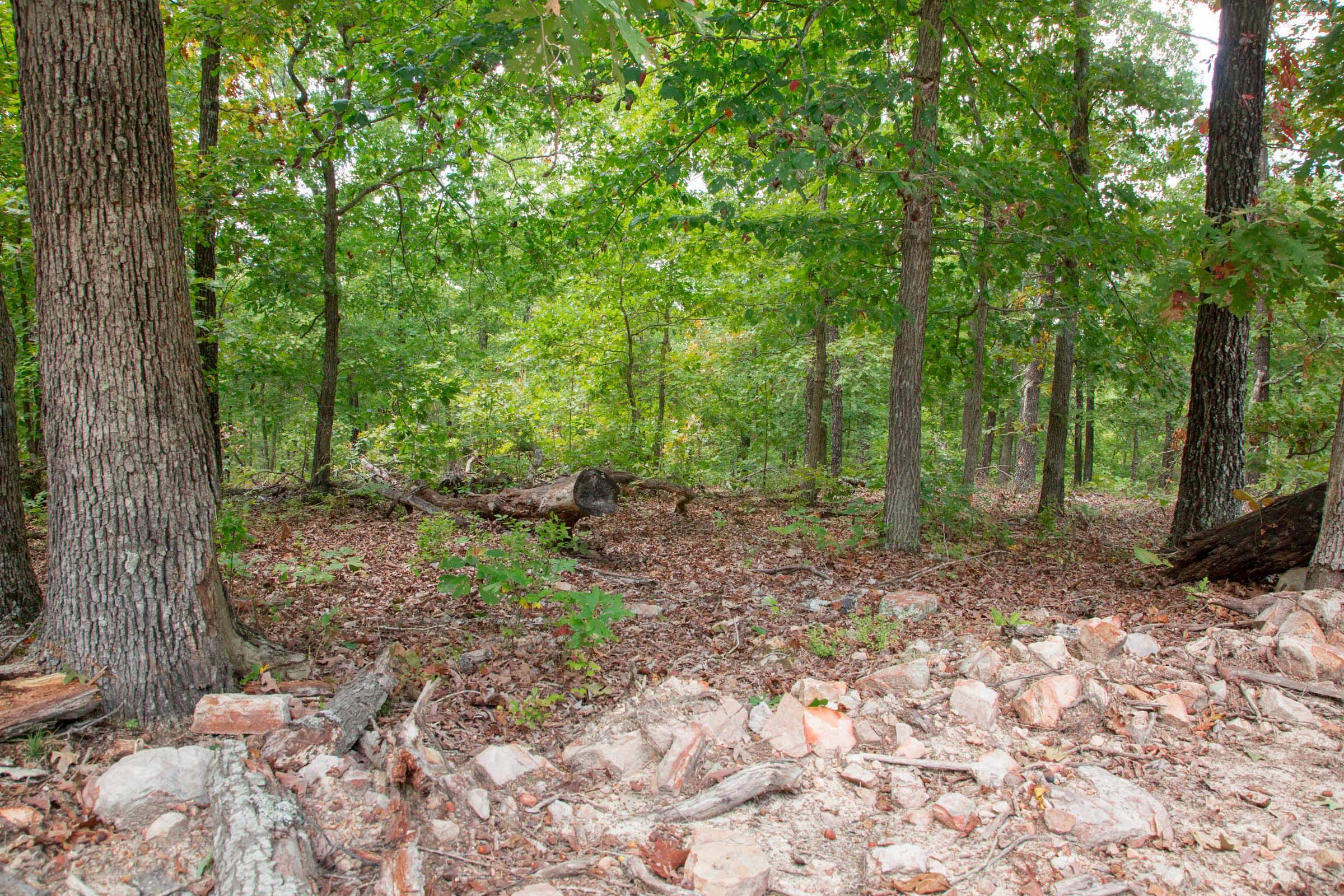 Wagon Wheel Ranch Tract 25 photo 9