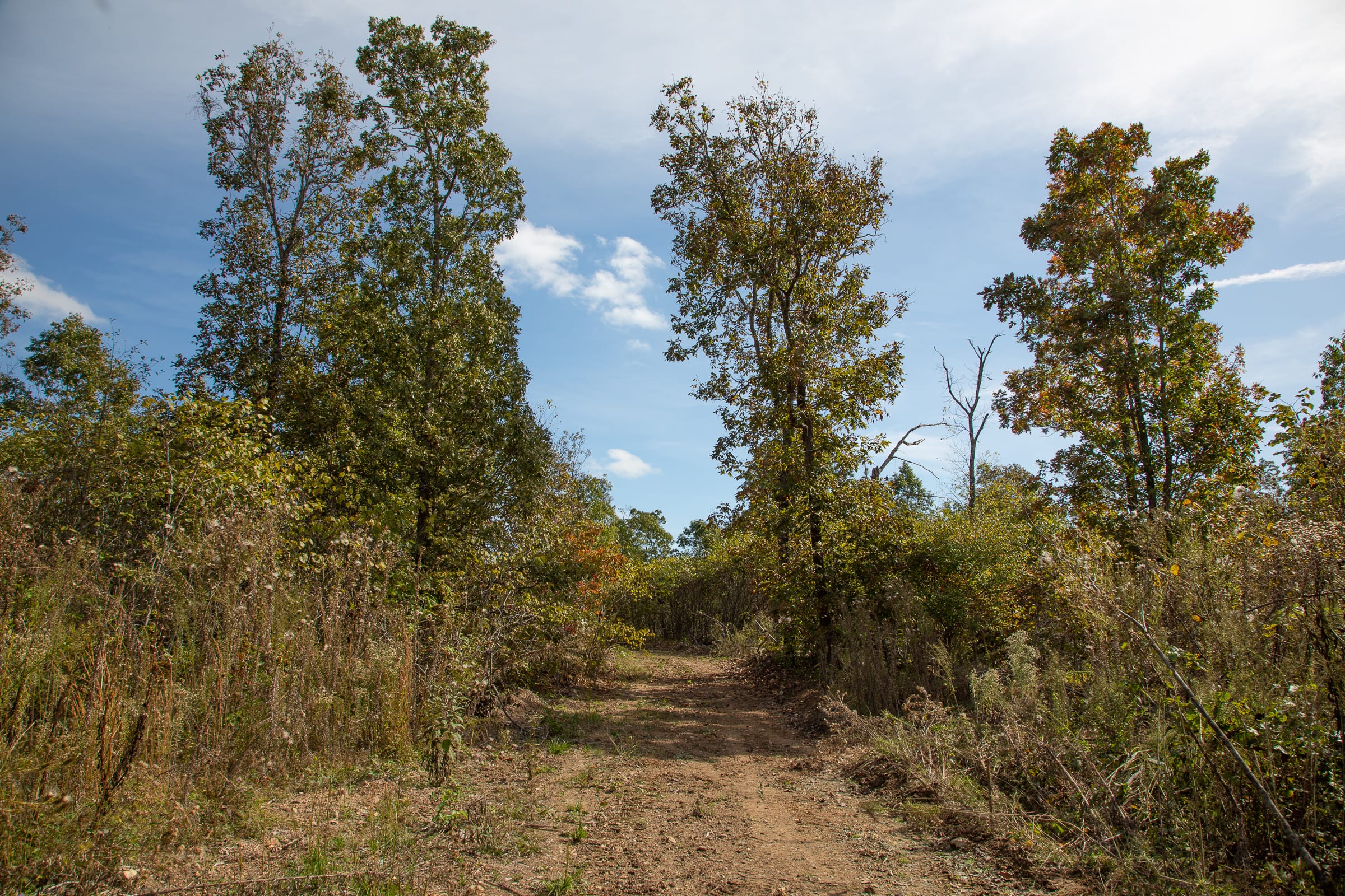 Borgmann’s Hollow Phase IV Tract 116 photo 1