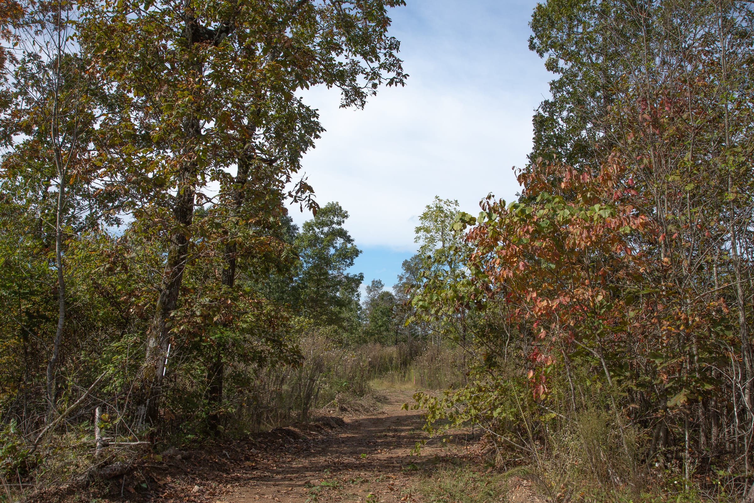 Borgmann’s Hollow Phase IV Tract 116 photo 5