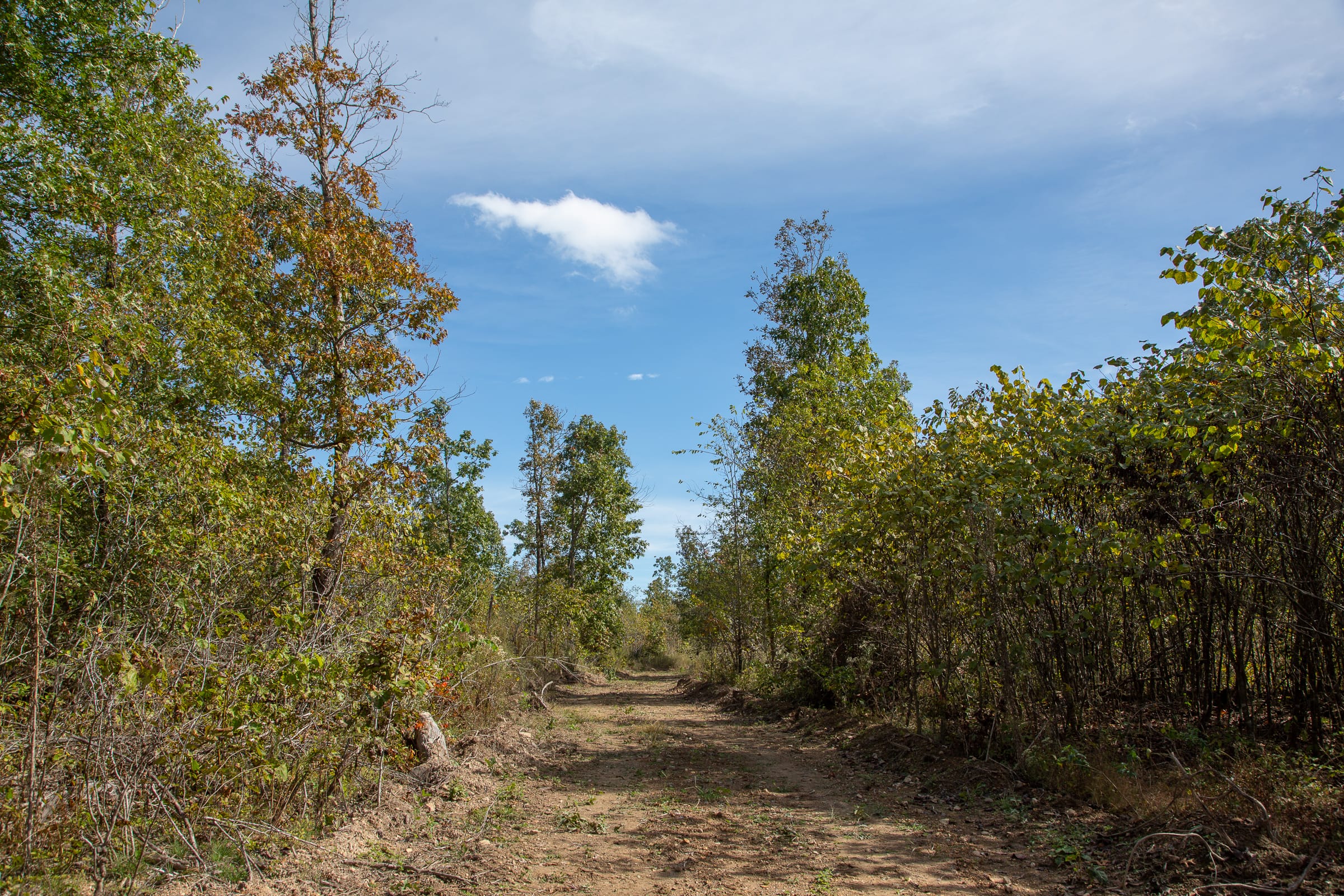 Borgmann’s Hollow Phase IV Tract 116 photo 7