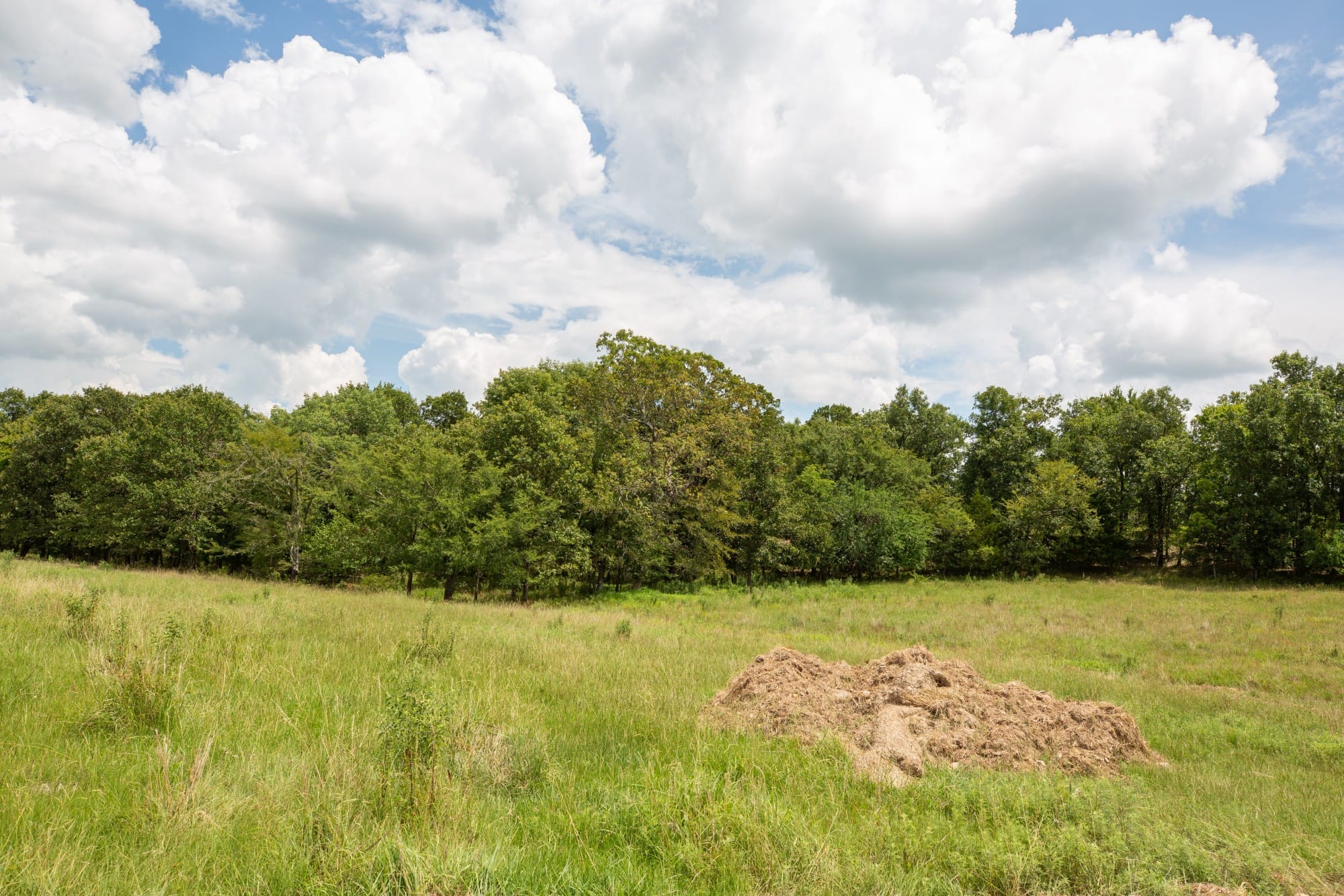 Paradise Valley Tract 11 photo 2