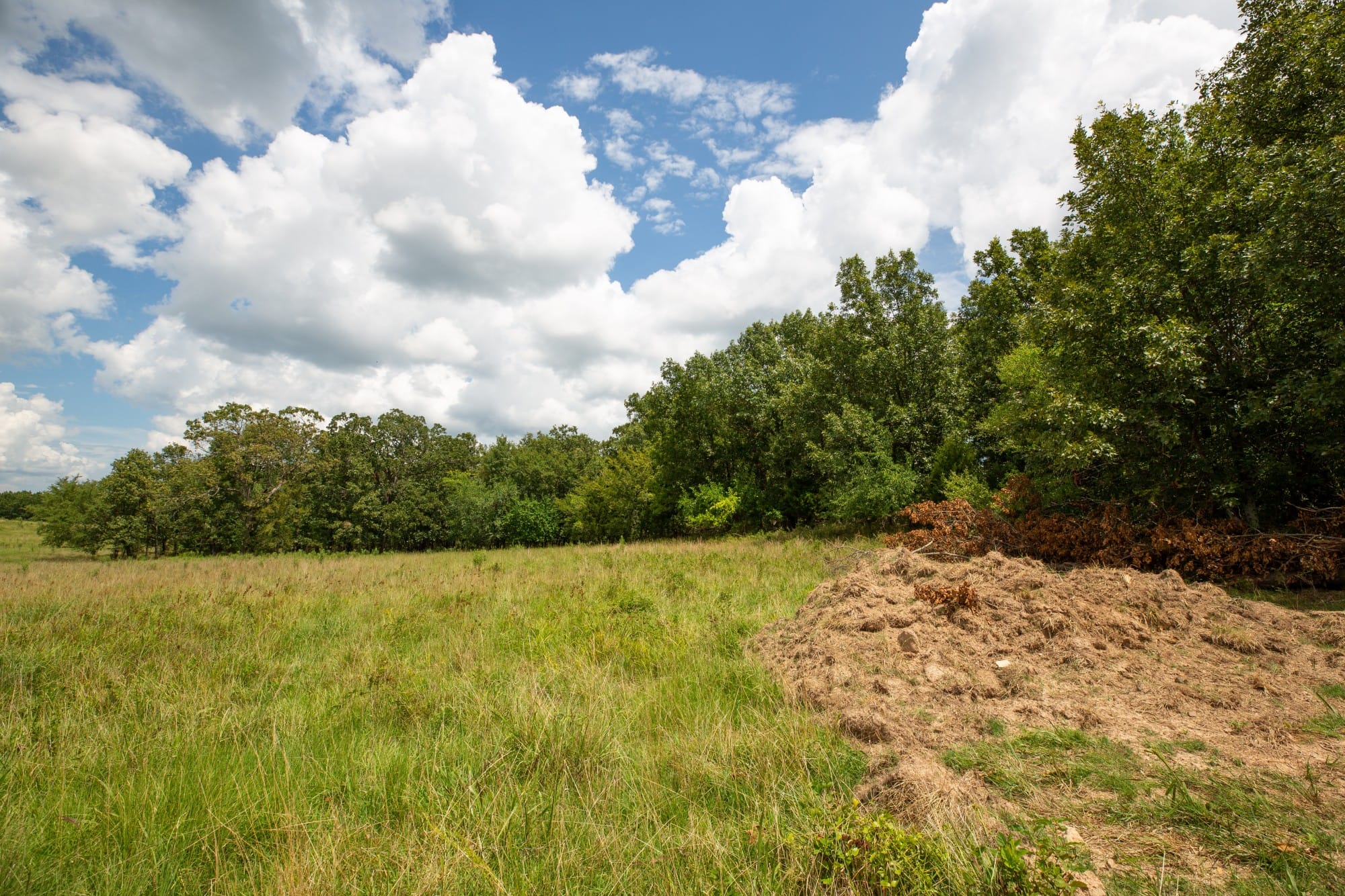Paradise Valley Tract 11 photo 7