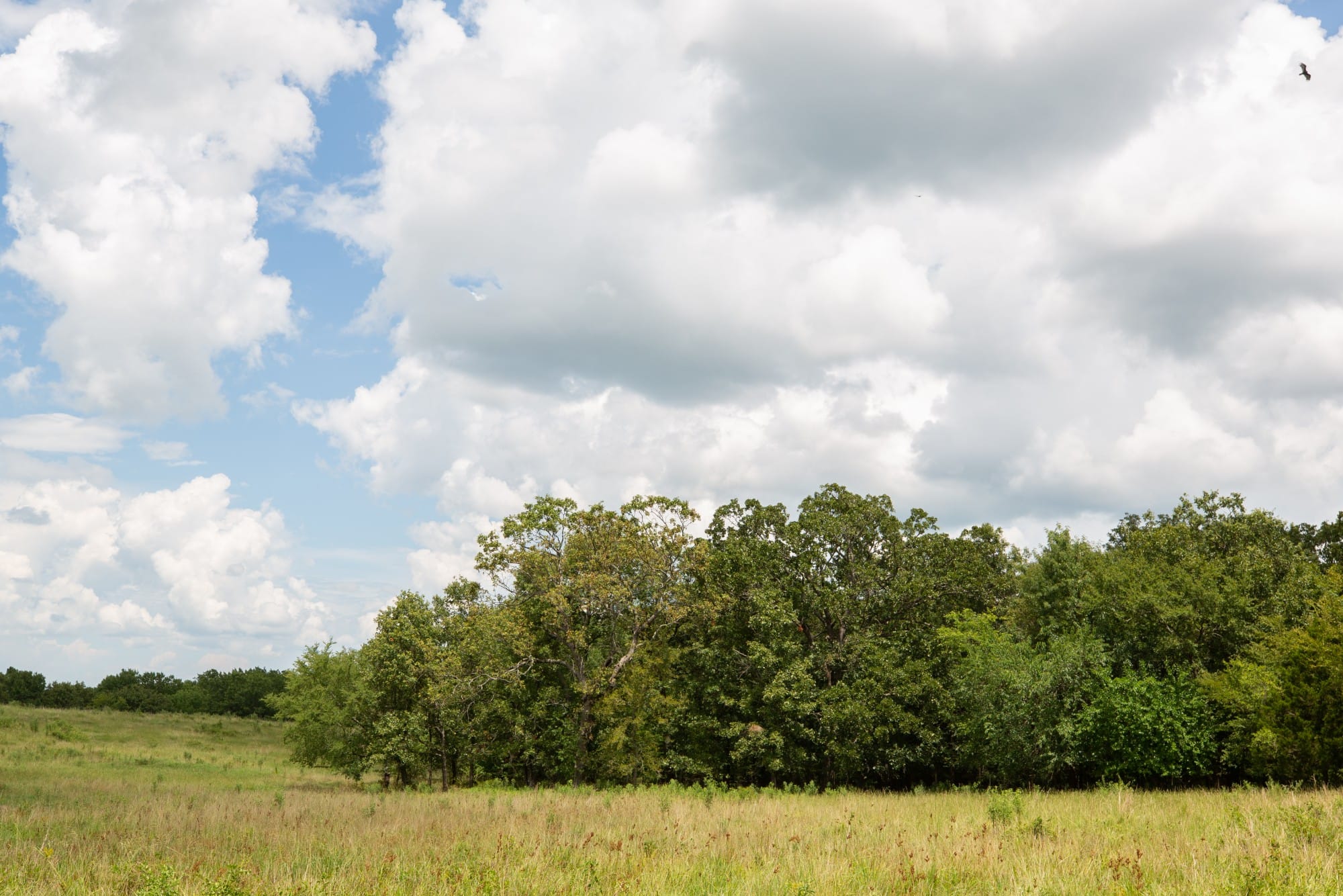 Paradise Valley Tract 11 photo 8