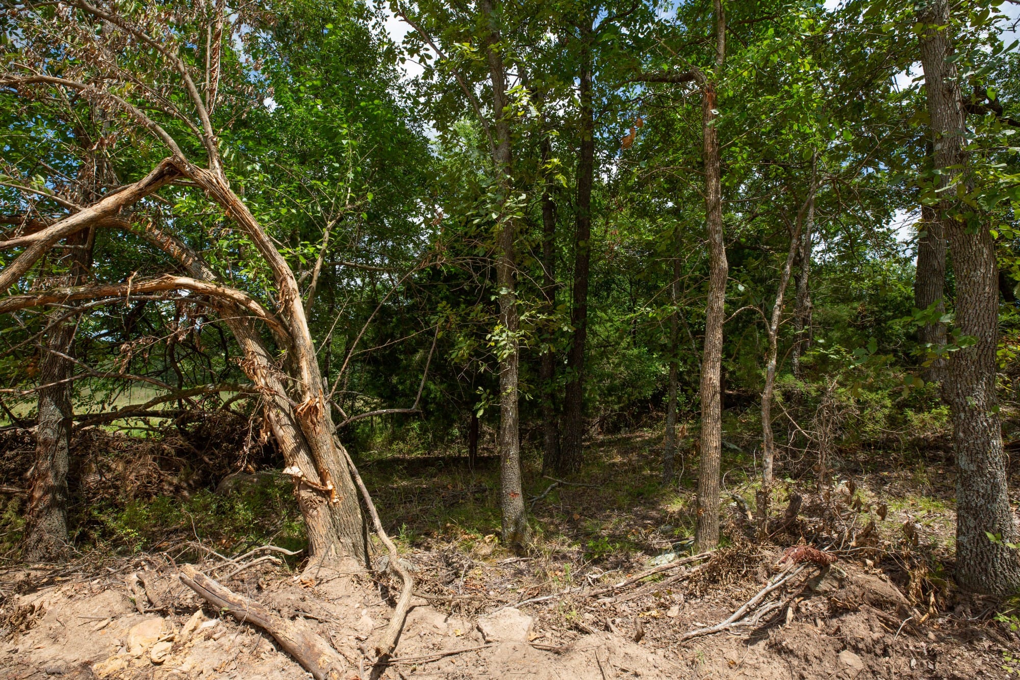 Paradise Valley Tract 11 photo 9