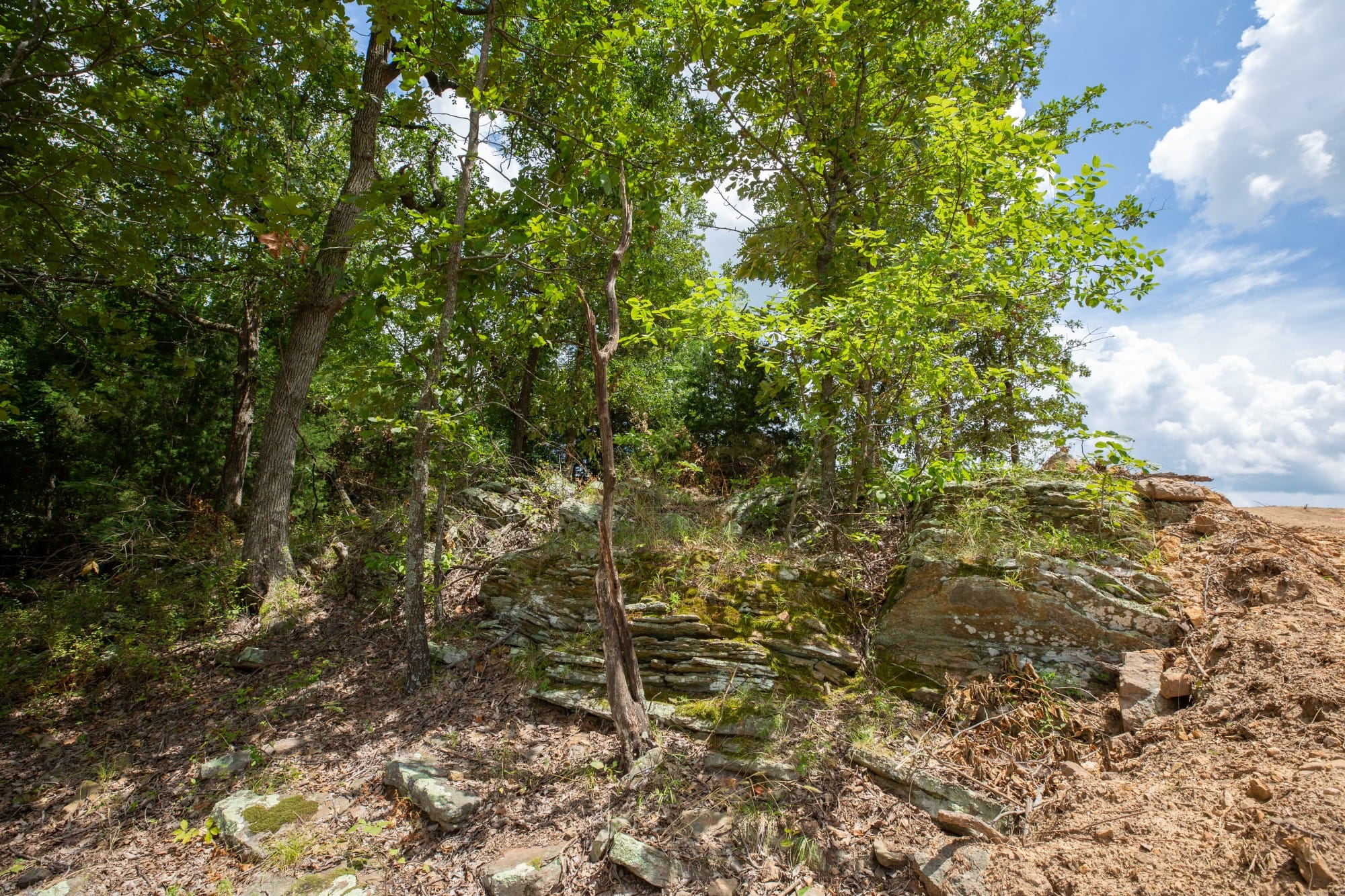 Paradise Valley Tract 11 photo 11
