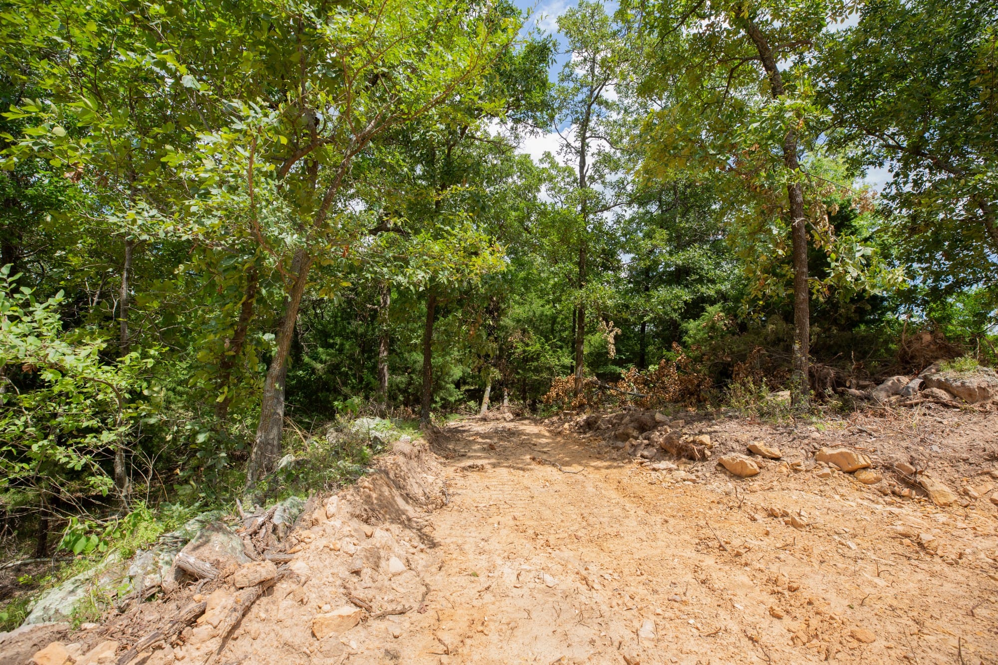 Paradise Valley Tract 11 photo 10
