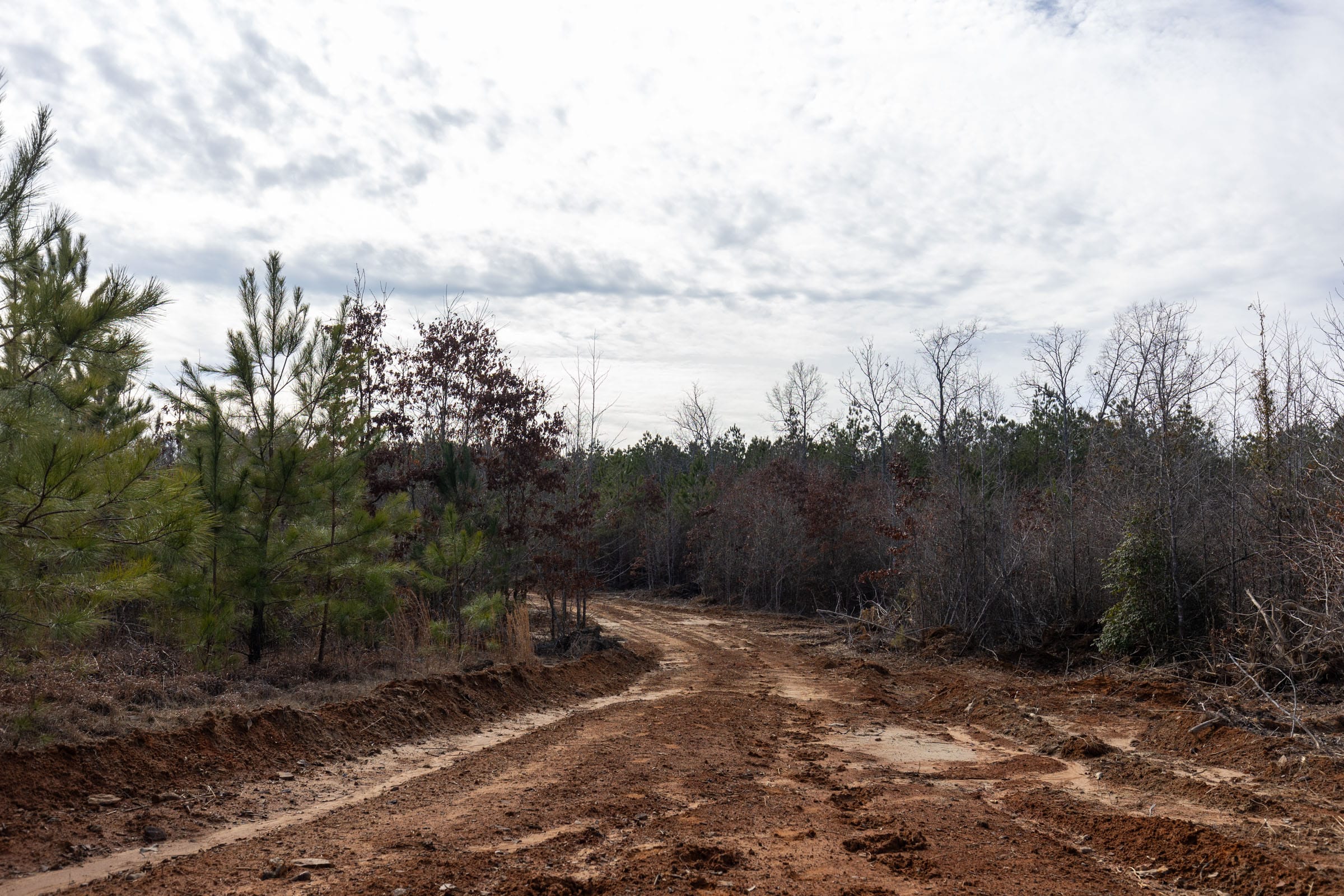 Baker Creek Tract 6 photo 9