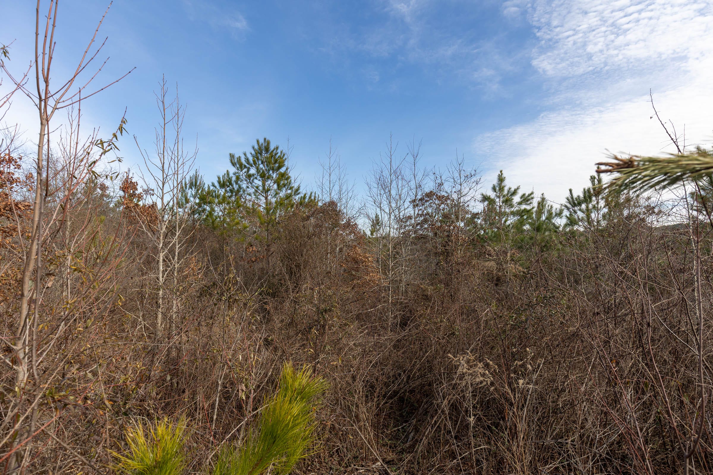 Baker Creek Tract 6 photo 1