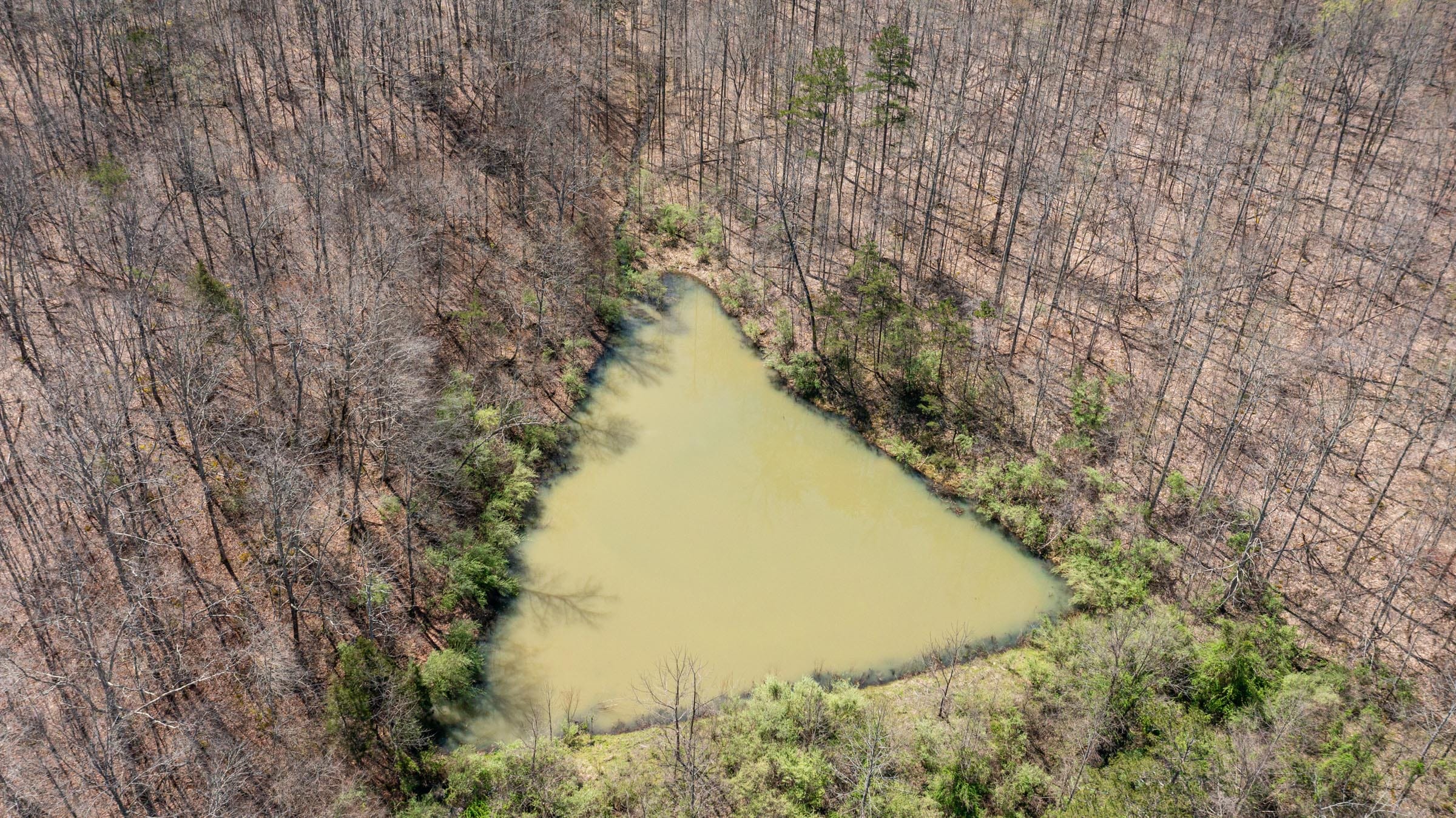 Woodland Heights Tract 7 photo 1