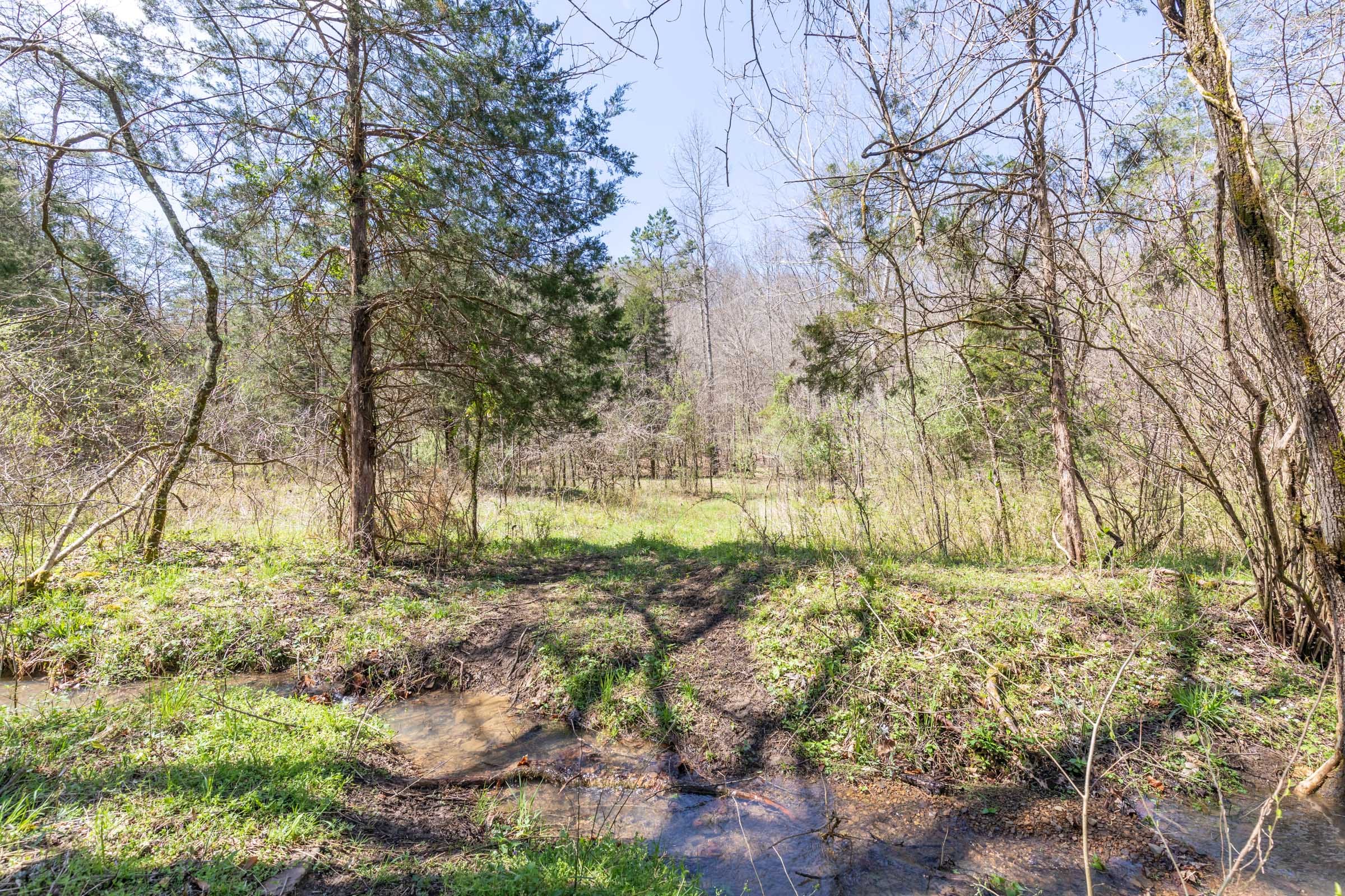 Woodland Heights Tract 7 photo 2