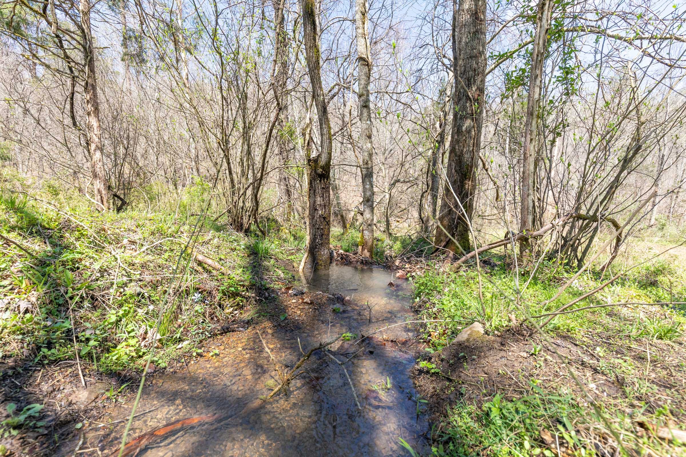 Woodland Heights Tract 7 photo 3