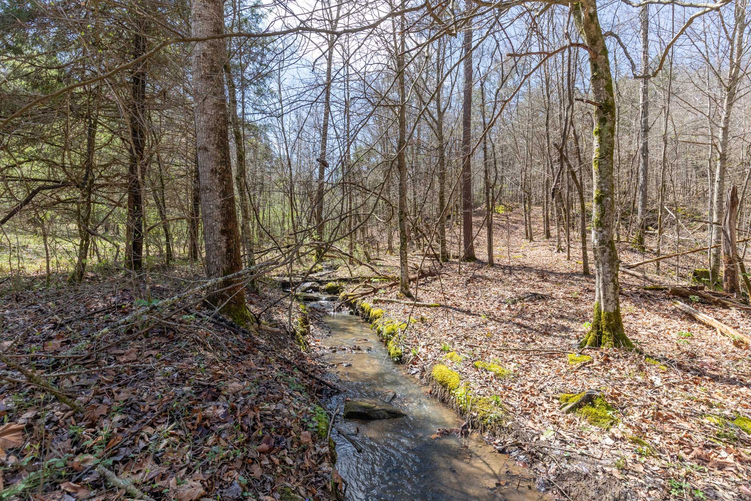 Woodland Heights Tract 7 photo 6