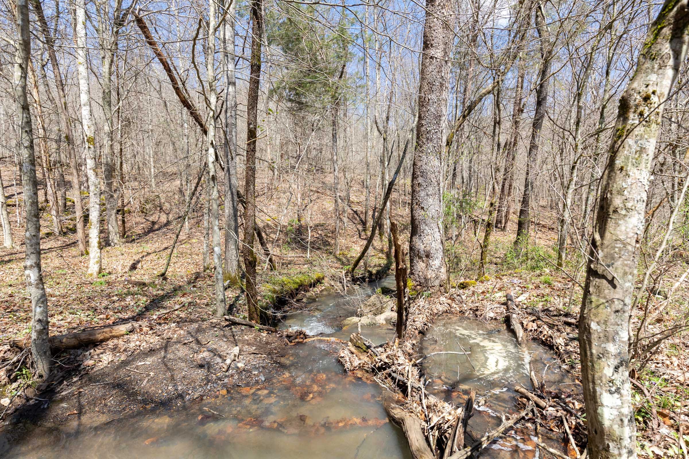Woodland Heights Tract 7 photo 4