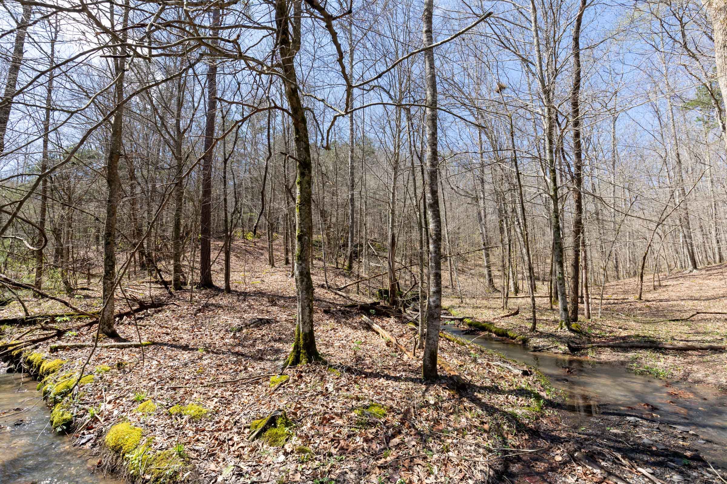 Woodland Heights Tract 7 photo 7