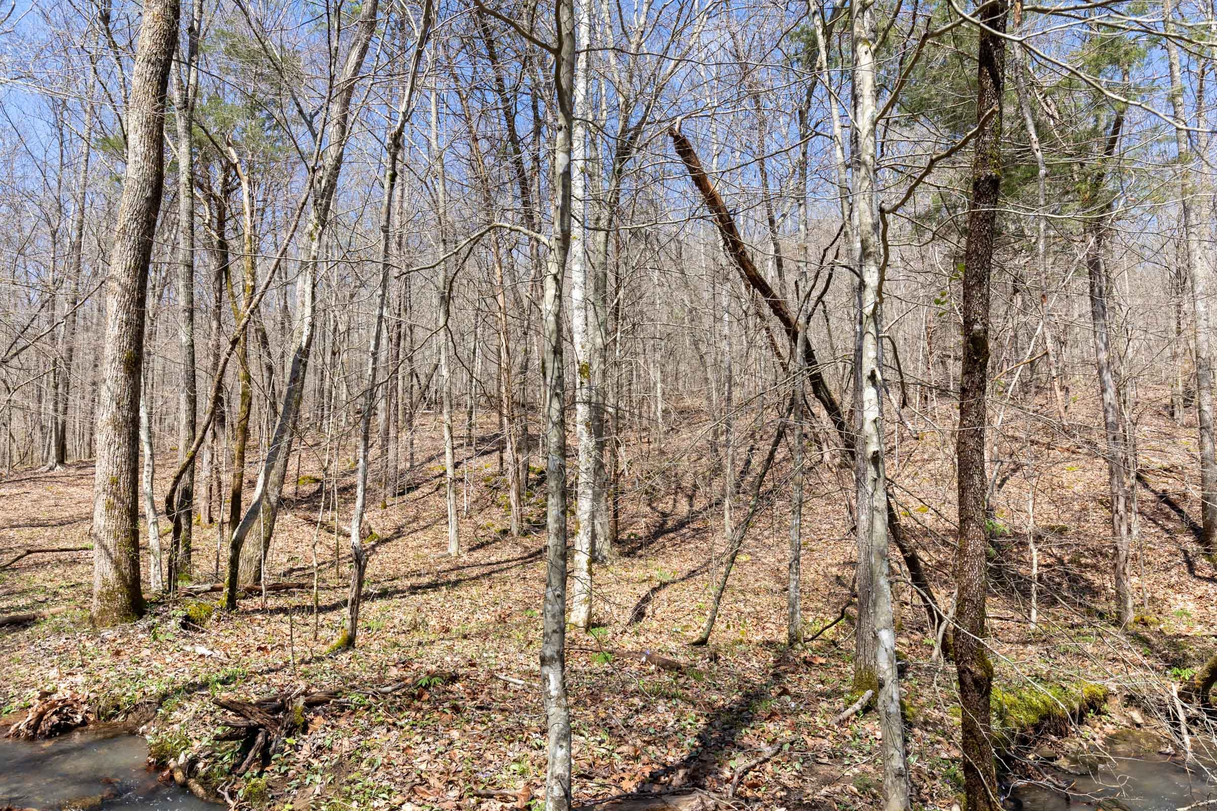 Woodland Heights Tract 7 photo 8