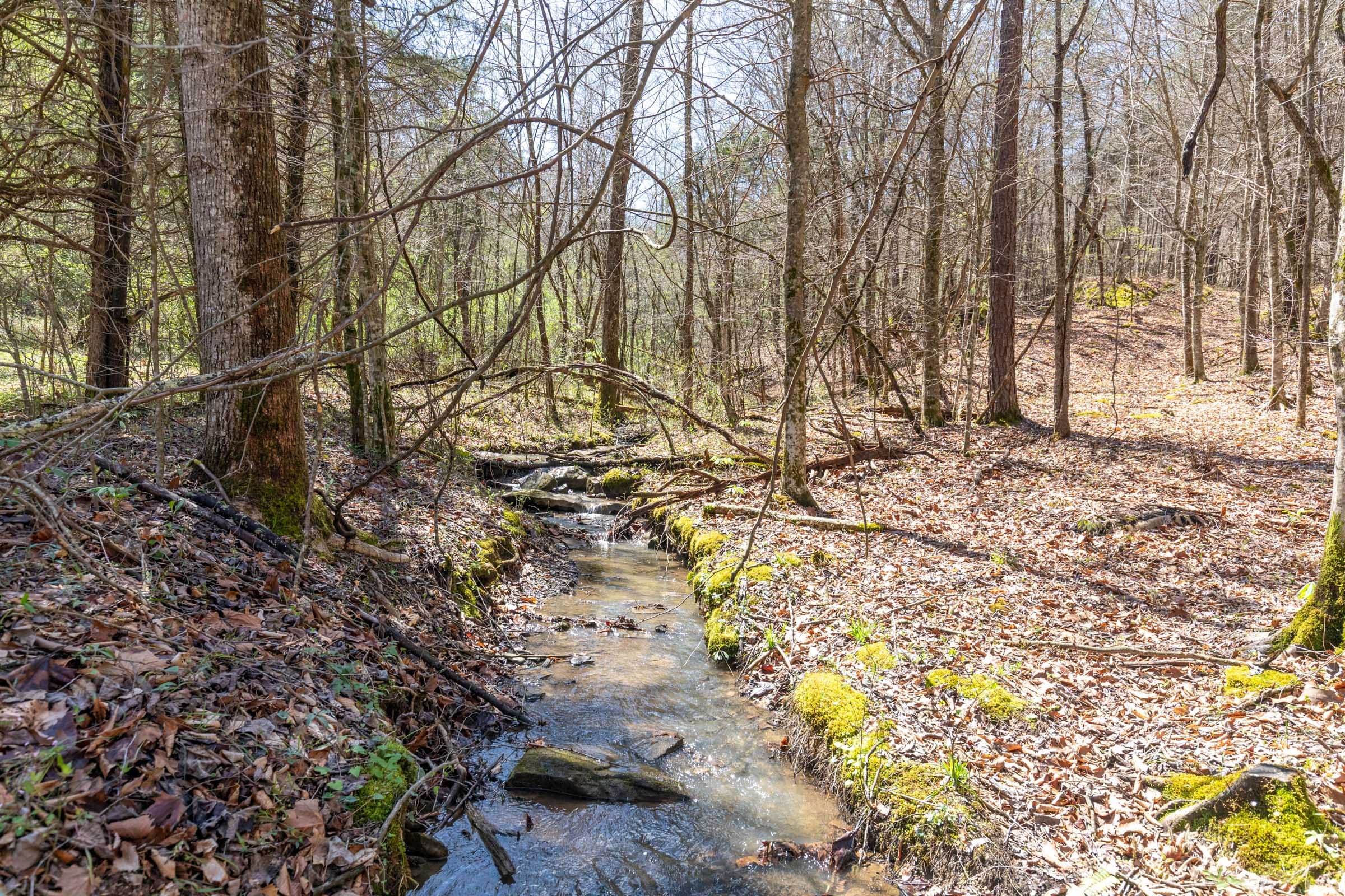 Woodland Heights Tract 7 photo 5