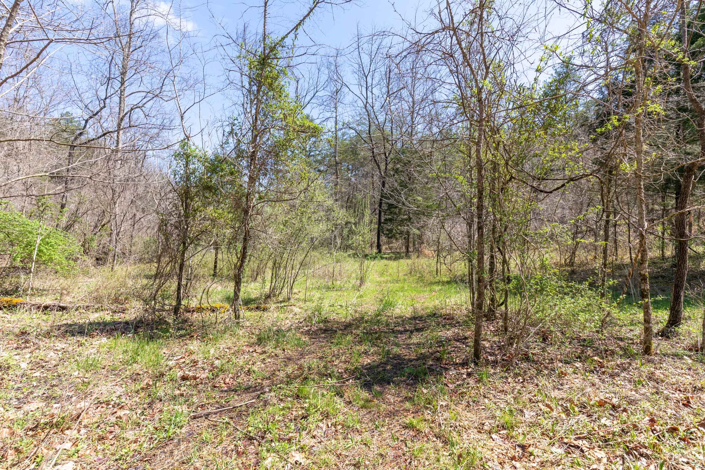 Woodland Heights Tract 7 photo 9