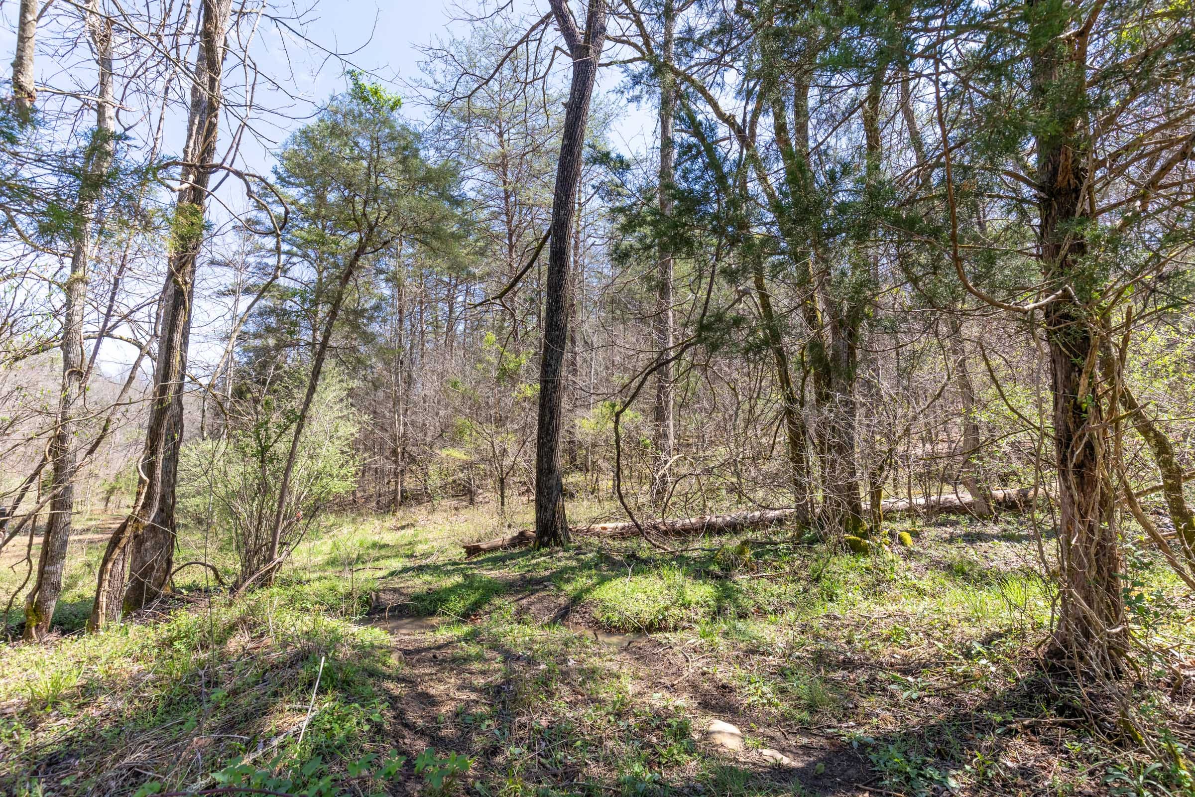 Woodland Heights Tract 7 photo 10