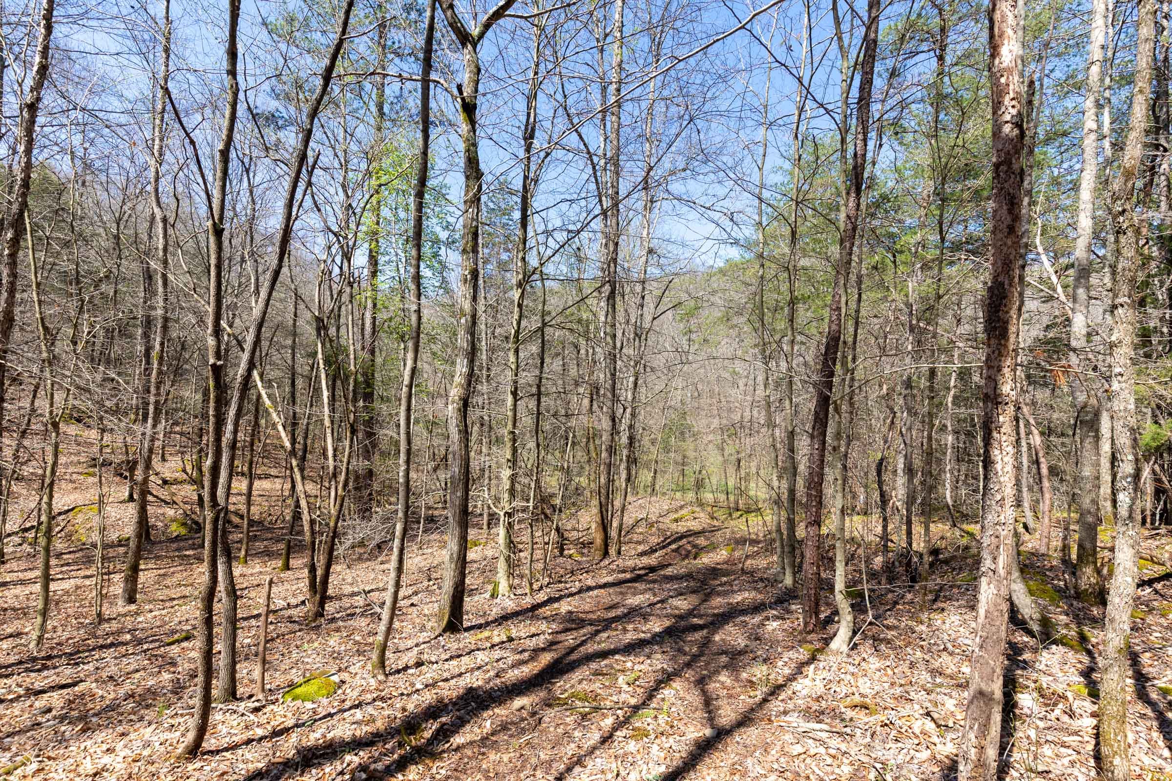 Woodland Heights Tract 7 photo 13