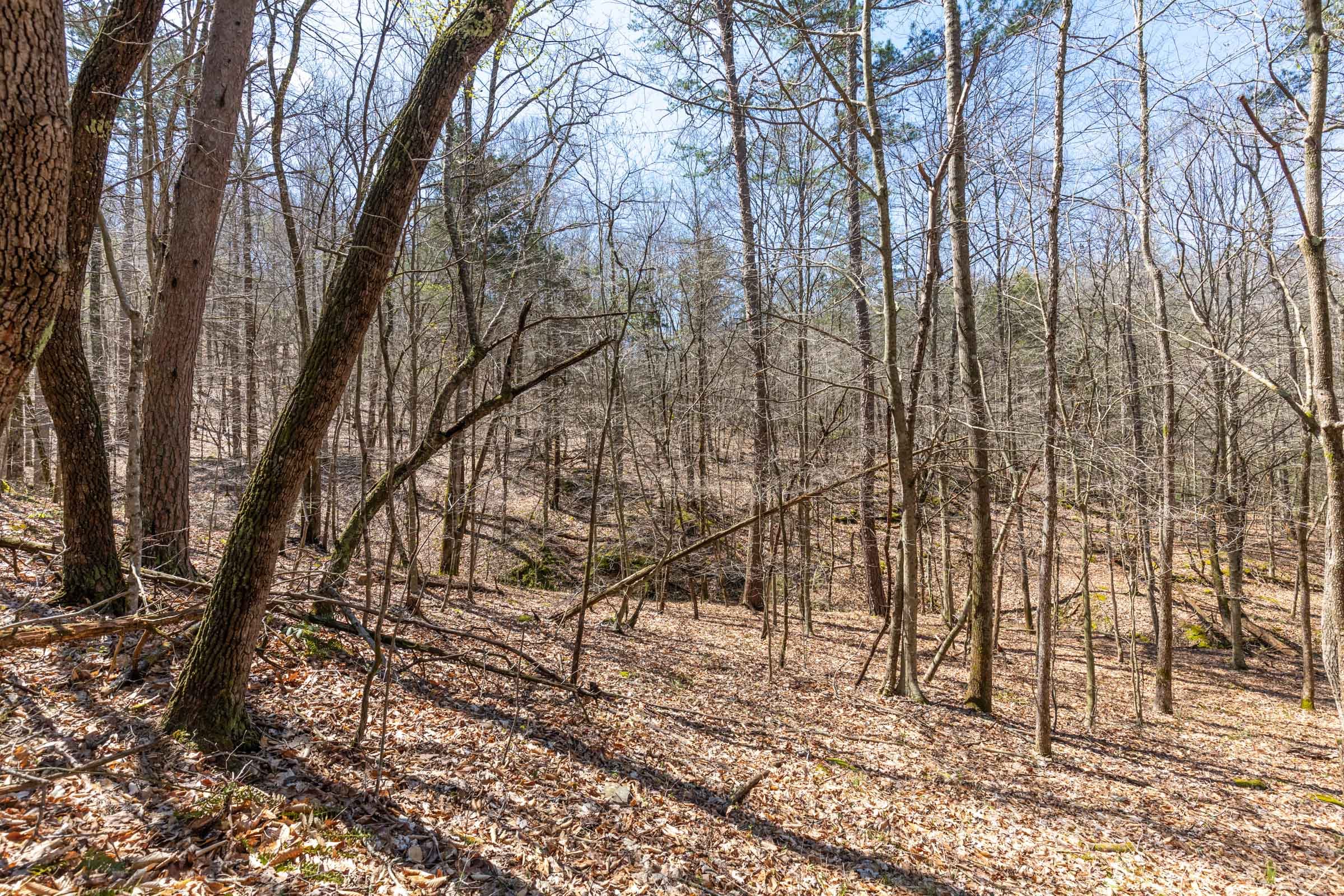 Woodland Heights Tract 7 photo 14