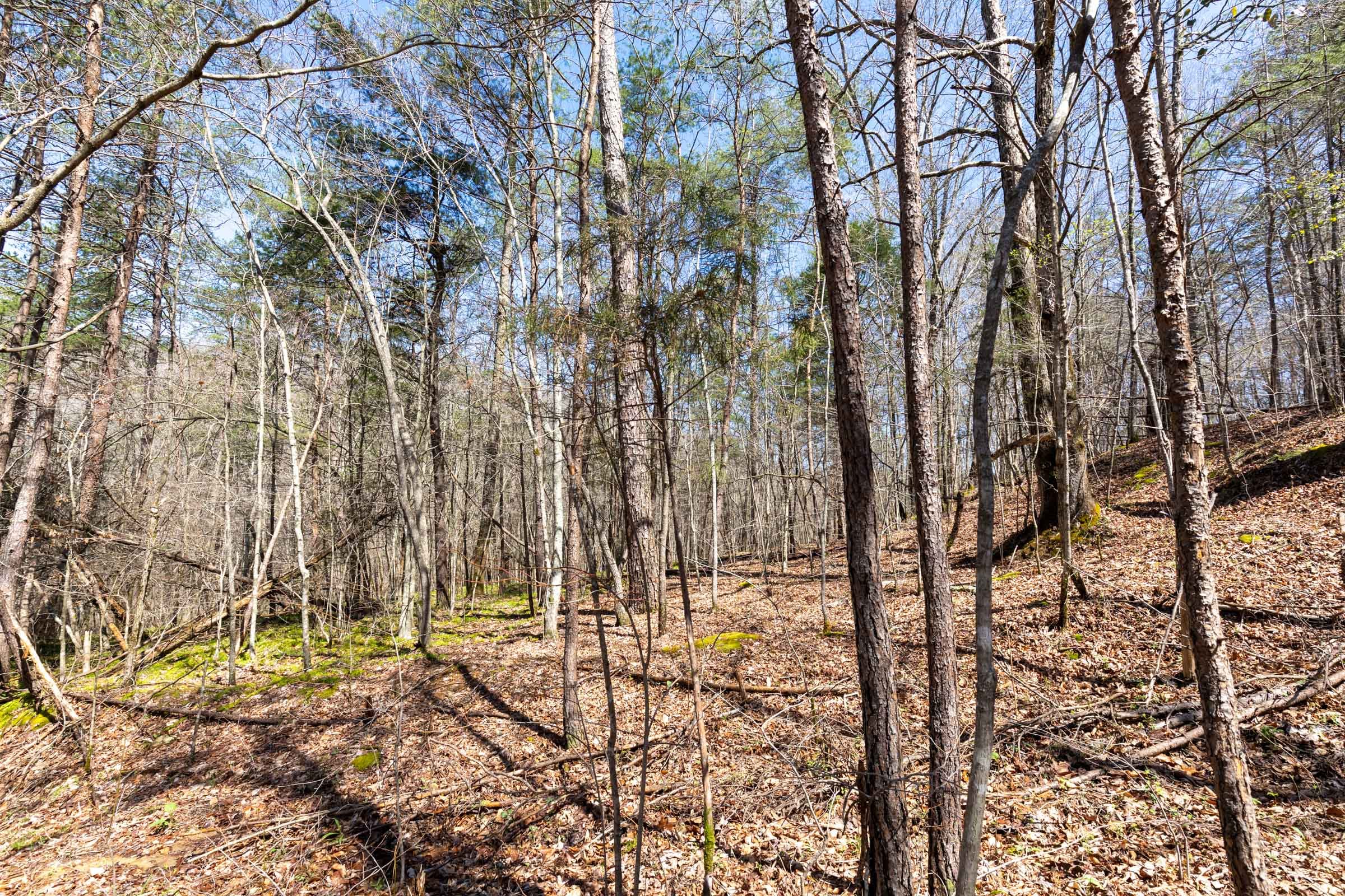 Woodland Heights Tract 7 photo 16