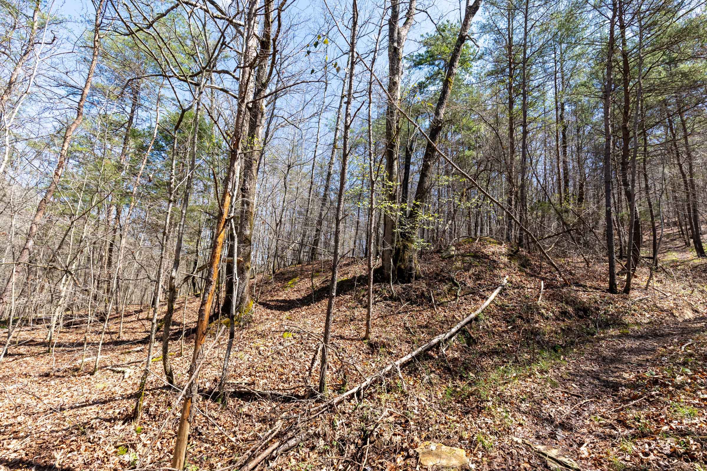 Woodland Heights Tract 7 photo 17