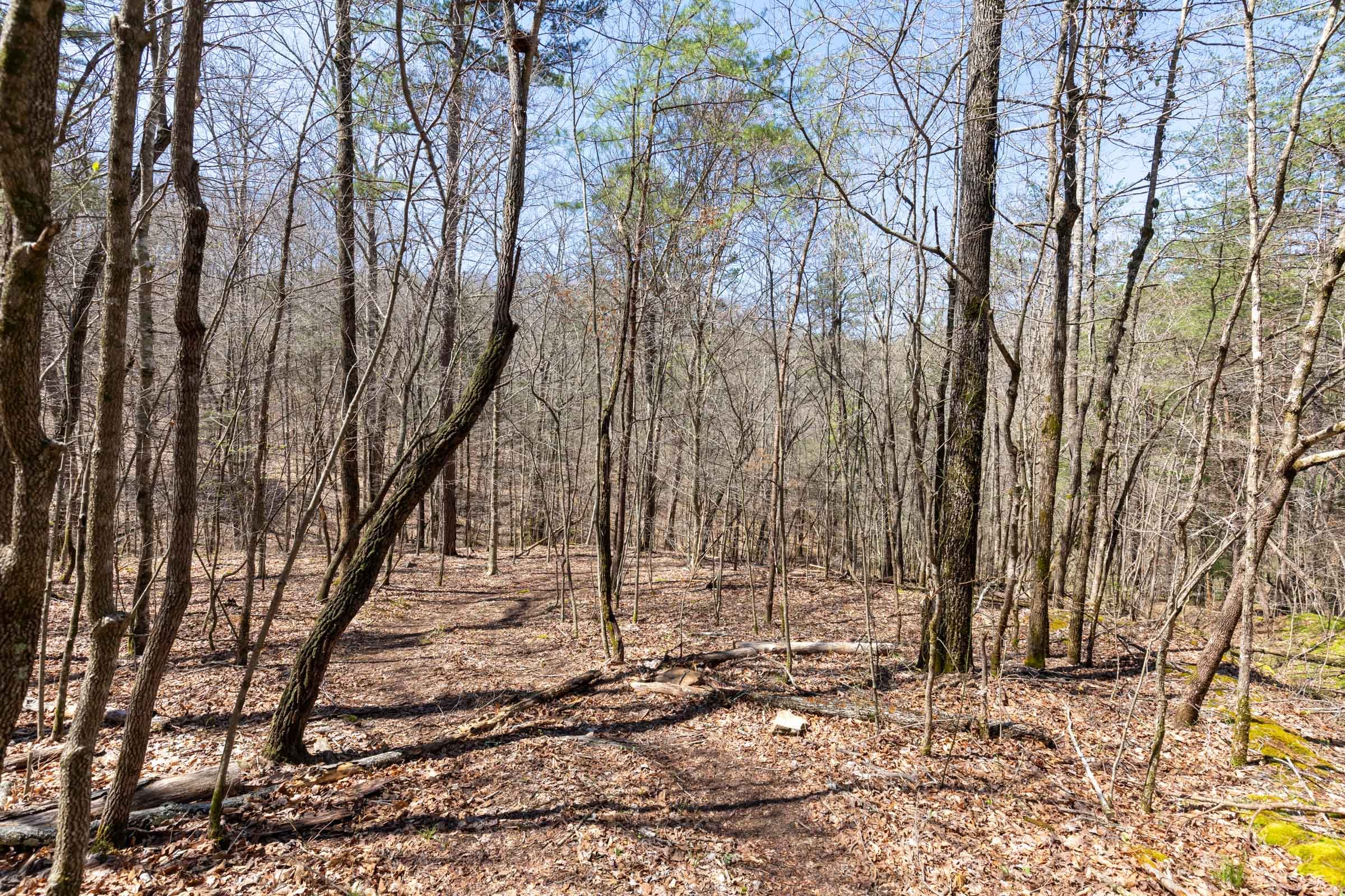 Woodland Heights Tract 7 photo 18