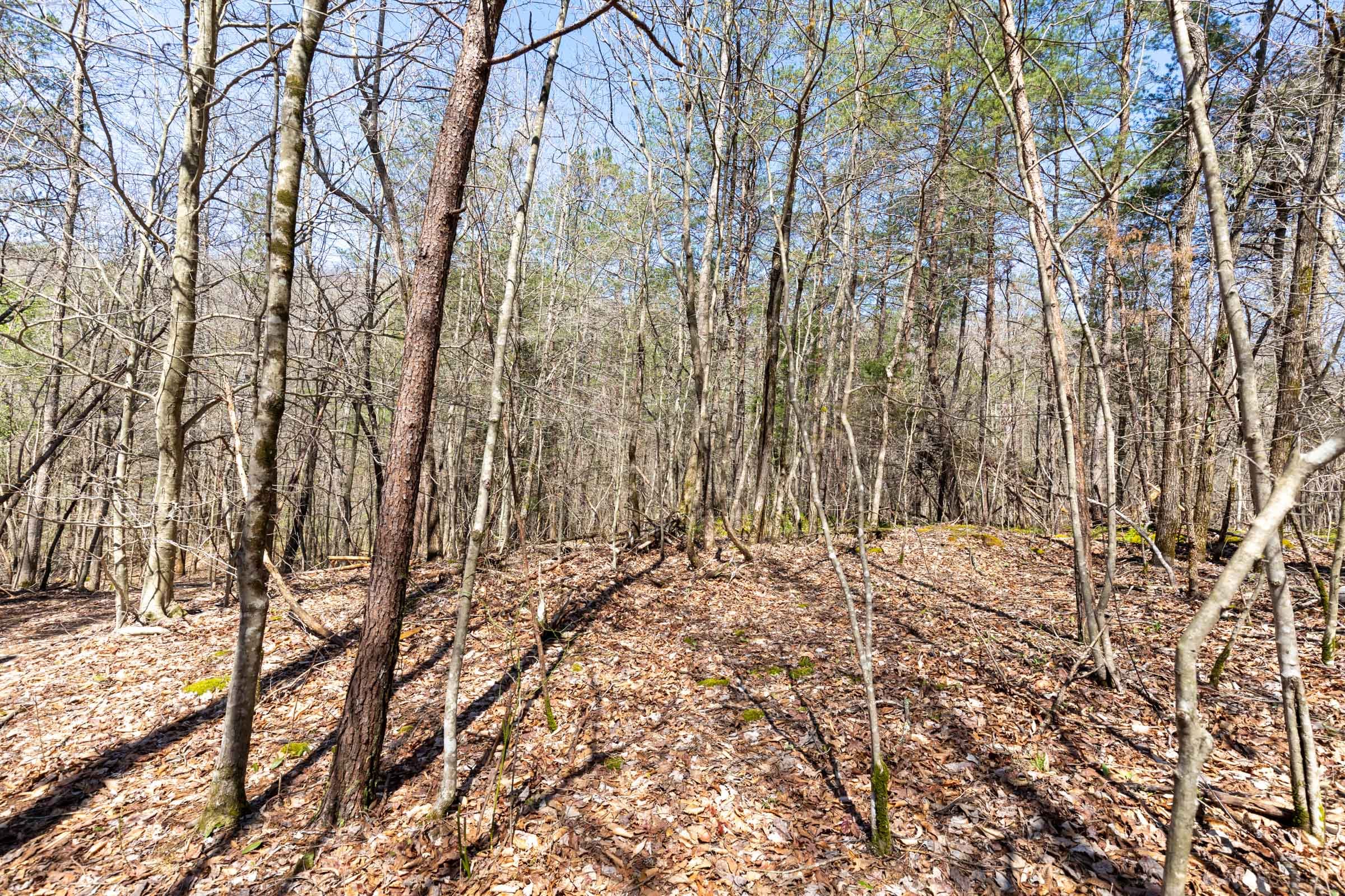 Woodland Heights Tract 7 photo 19
