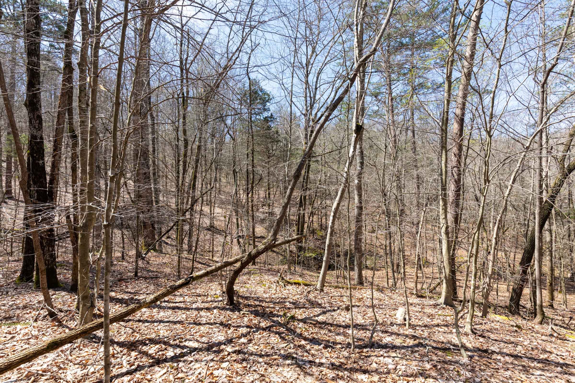 Woodland Heights Tract 7 photo 20