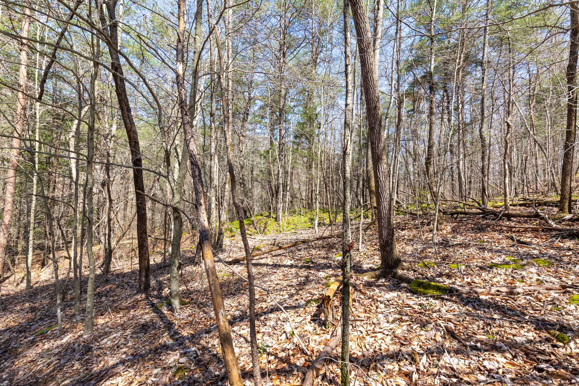 Woodland Heights Tract 7 photo 21