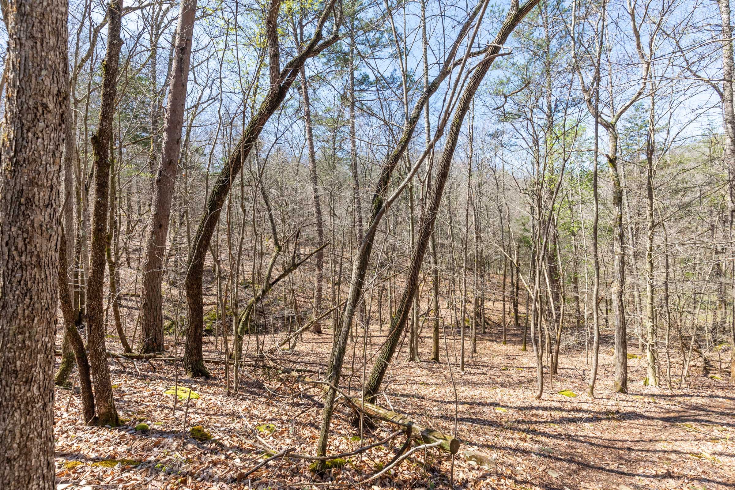 Woodland Heights Tract 7 photo 22