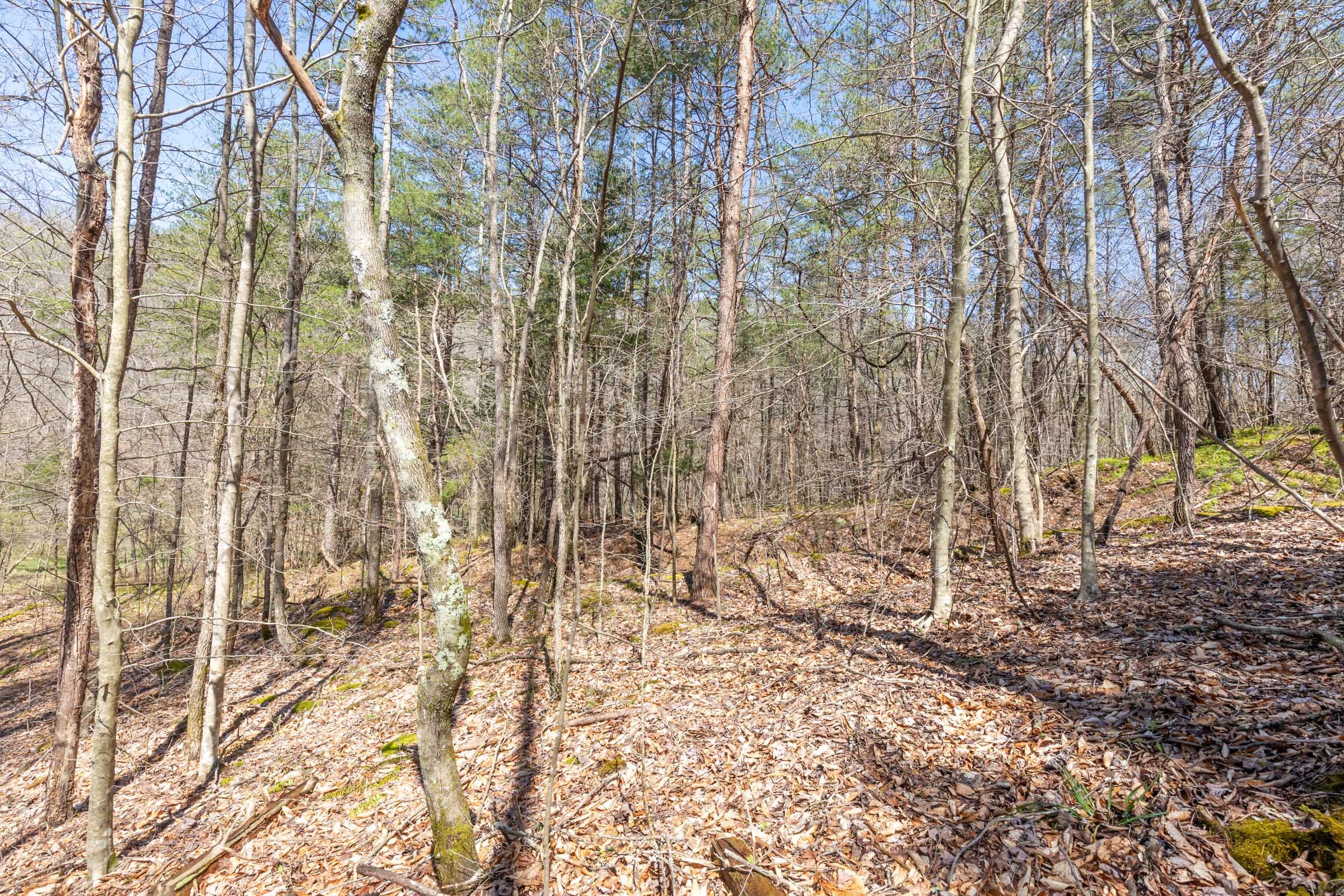 Woodland Heights Tract 7 photo 23