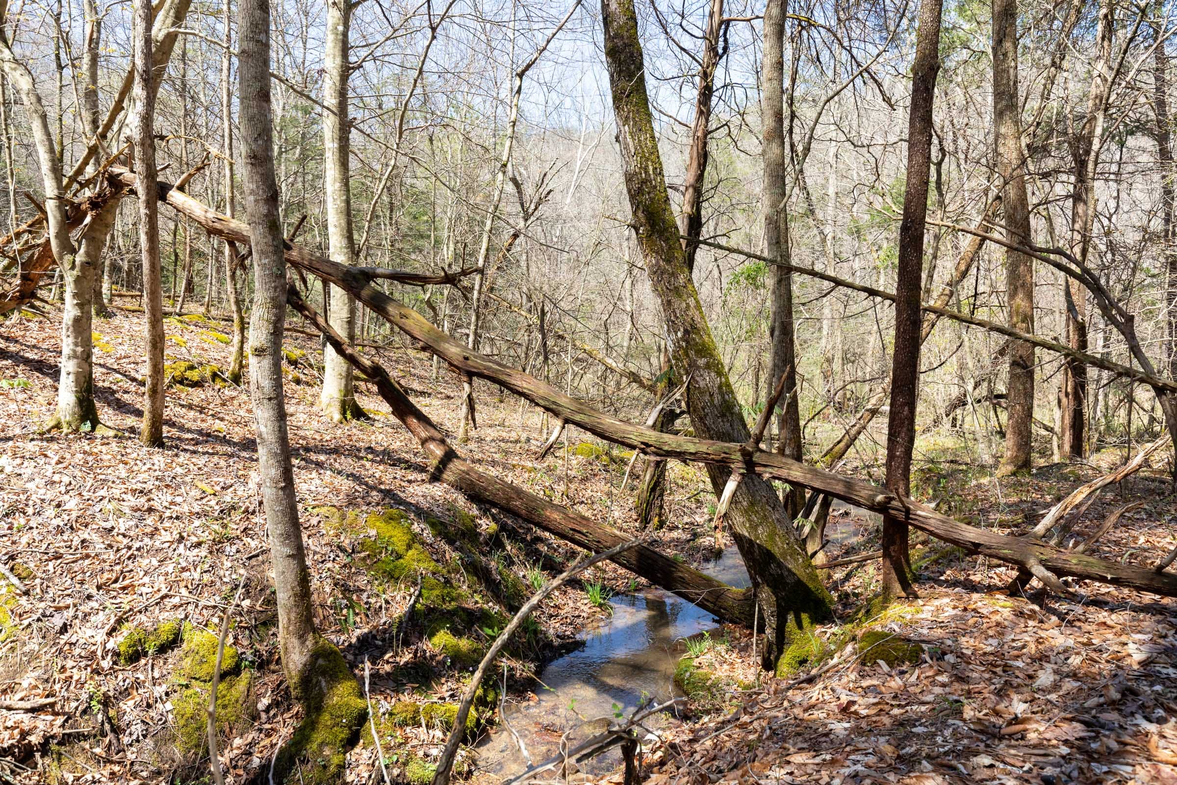 Woodland Heights Tract 7 photo 24