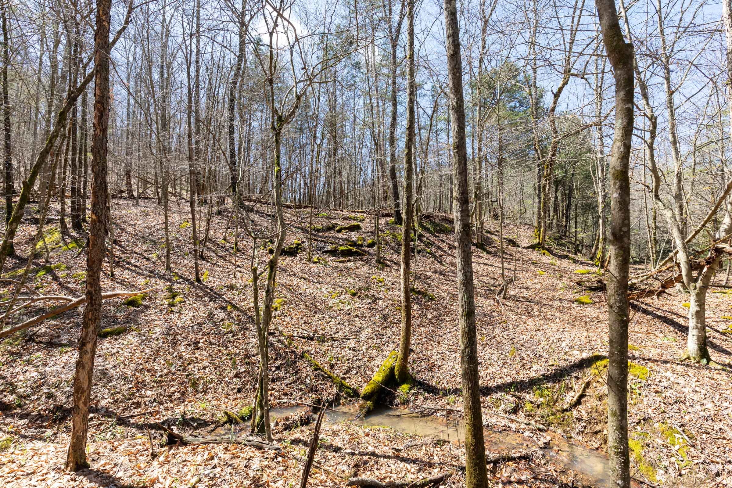 Woodland Heights Tract 7 photo 25