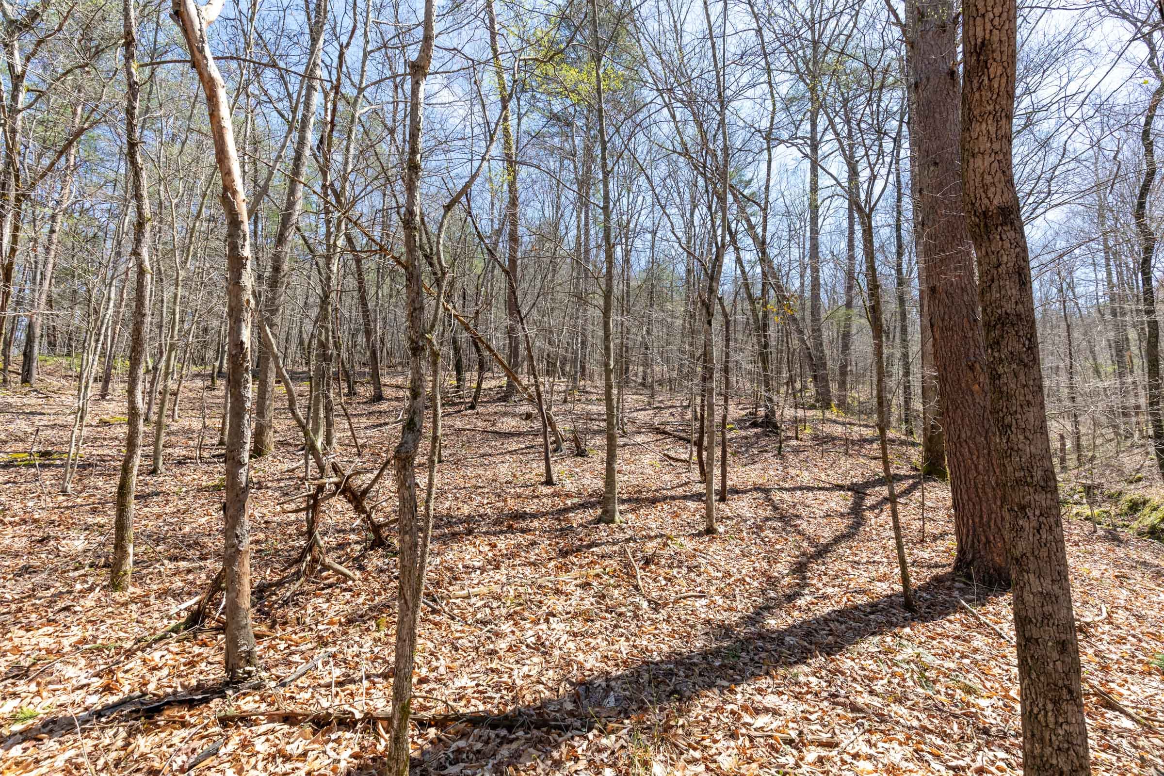 Woodland Heights Tract 7 photo 26