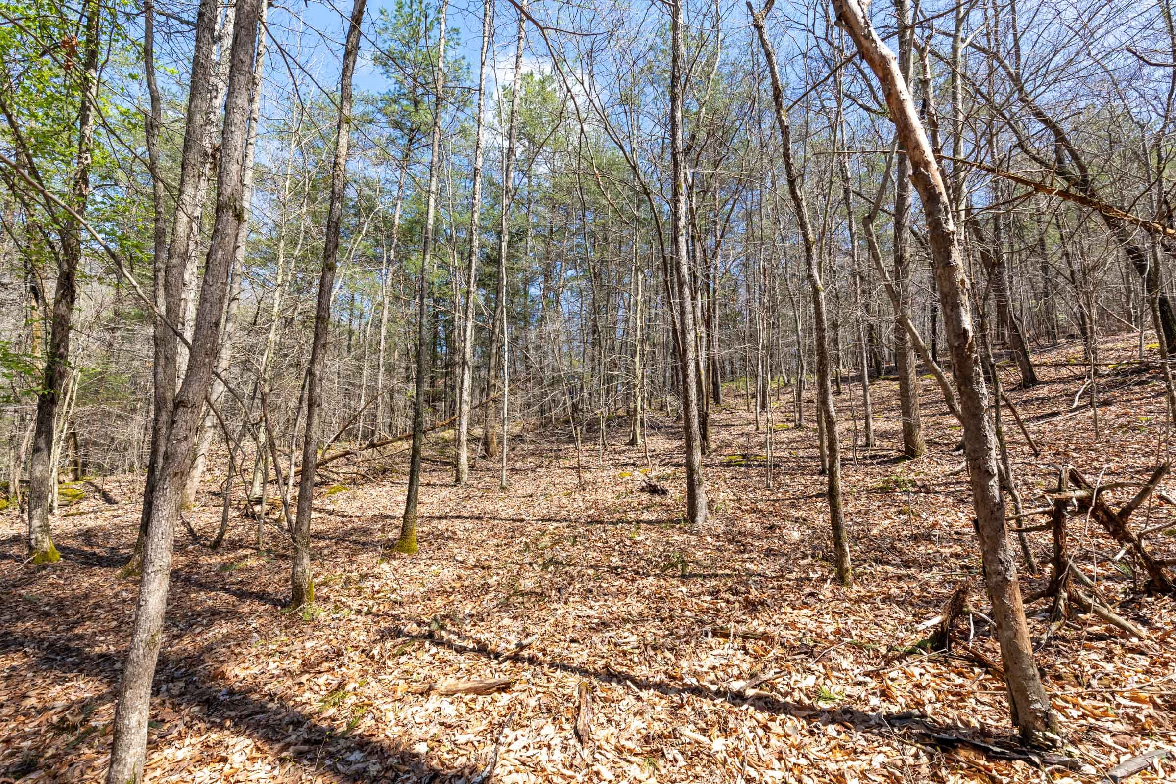 Woodland Heights Tract 7 photo 27