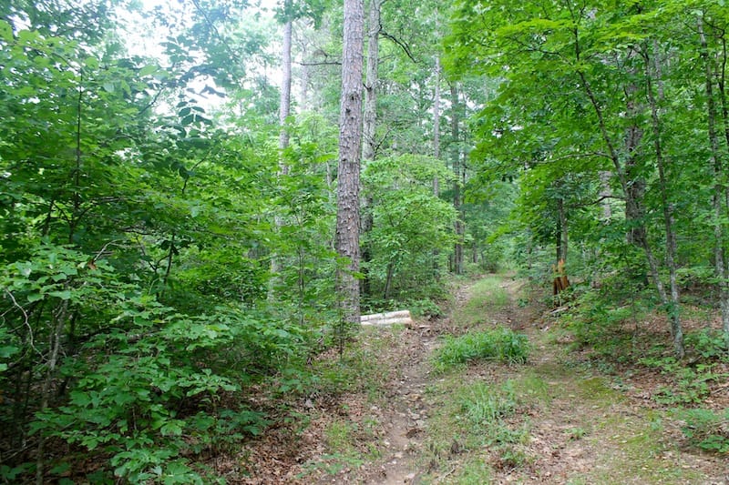 Green Mountain Ranch Tract 52 photo 10