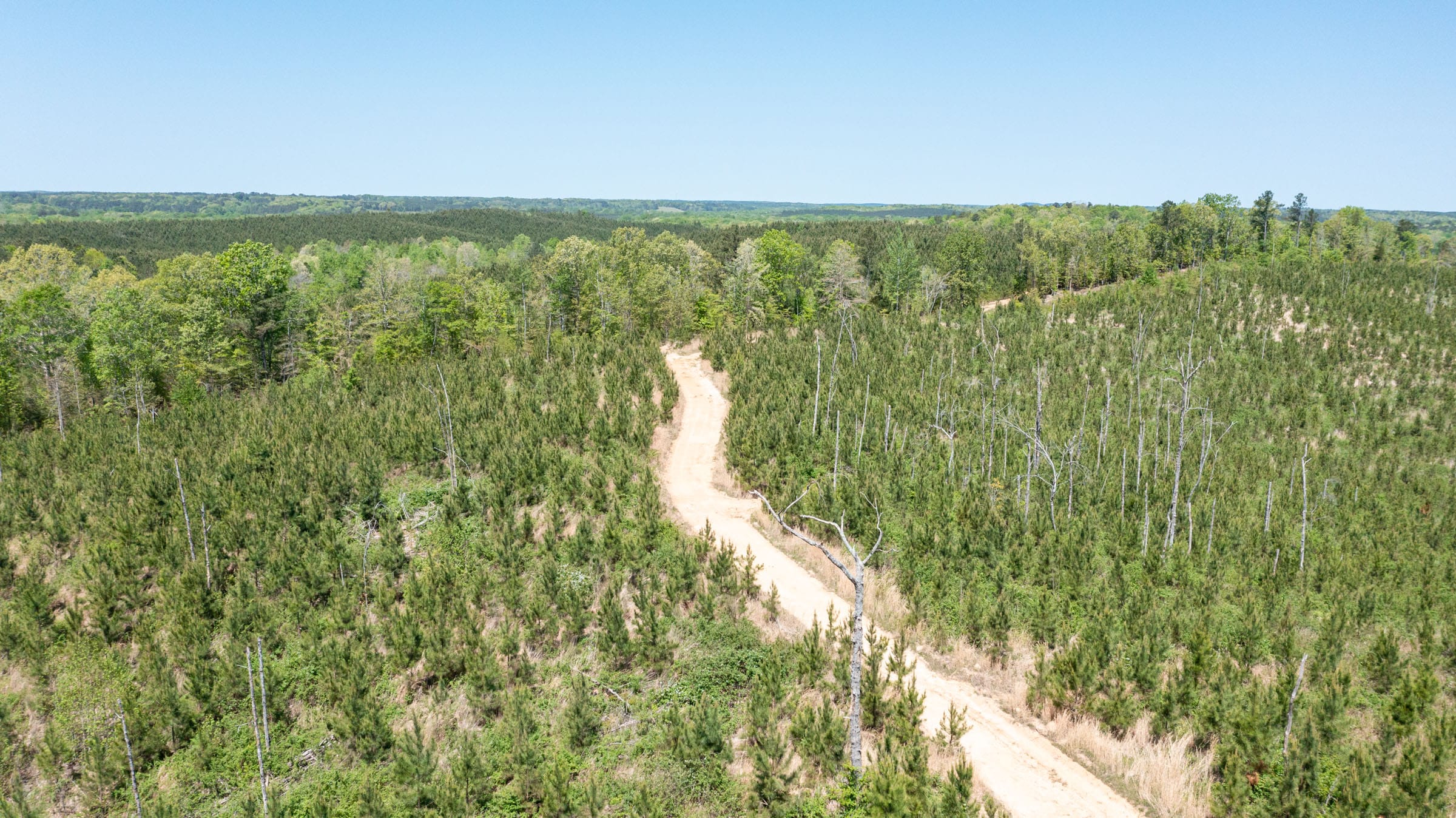 Clear Wood Tract 61 photo 4